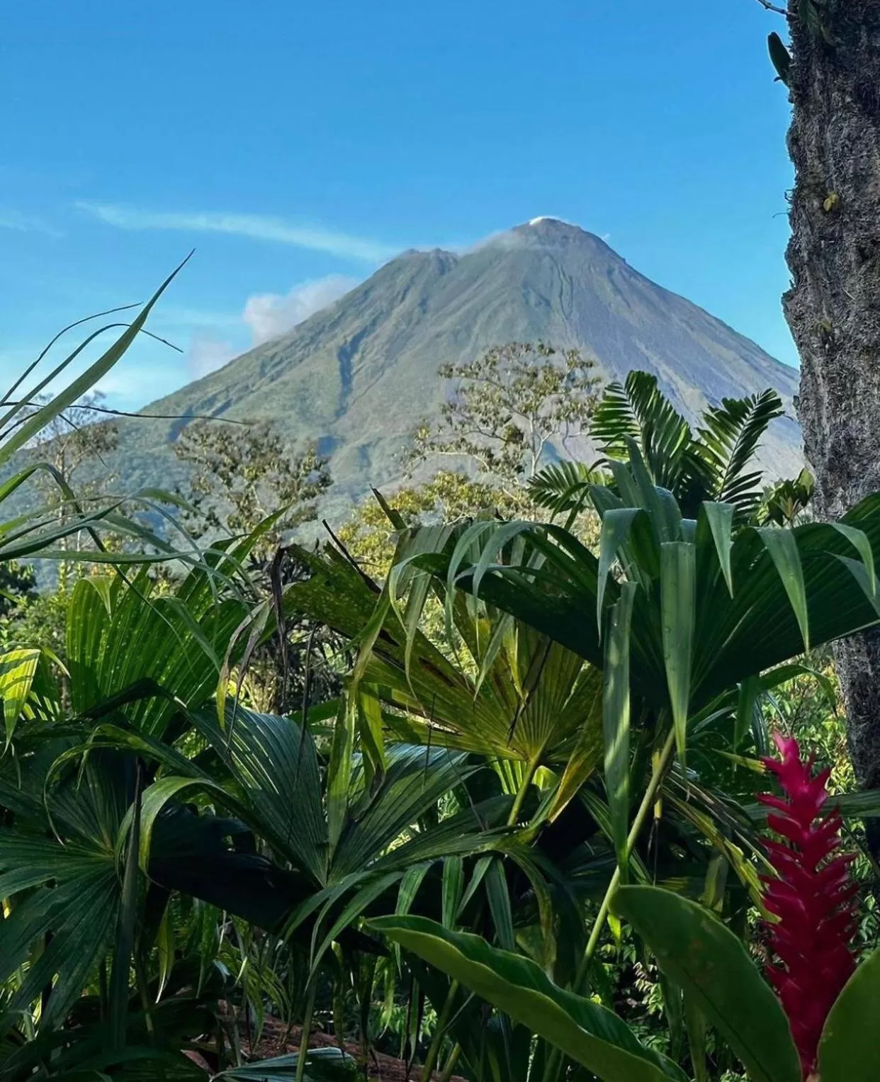 Hotel Kokoro Mineral Hot Springs