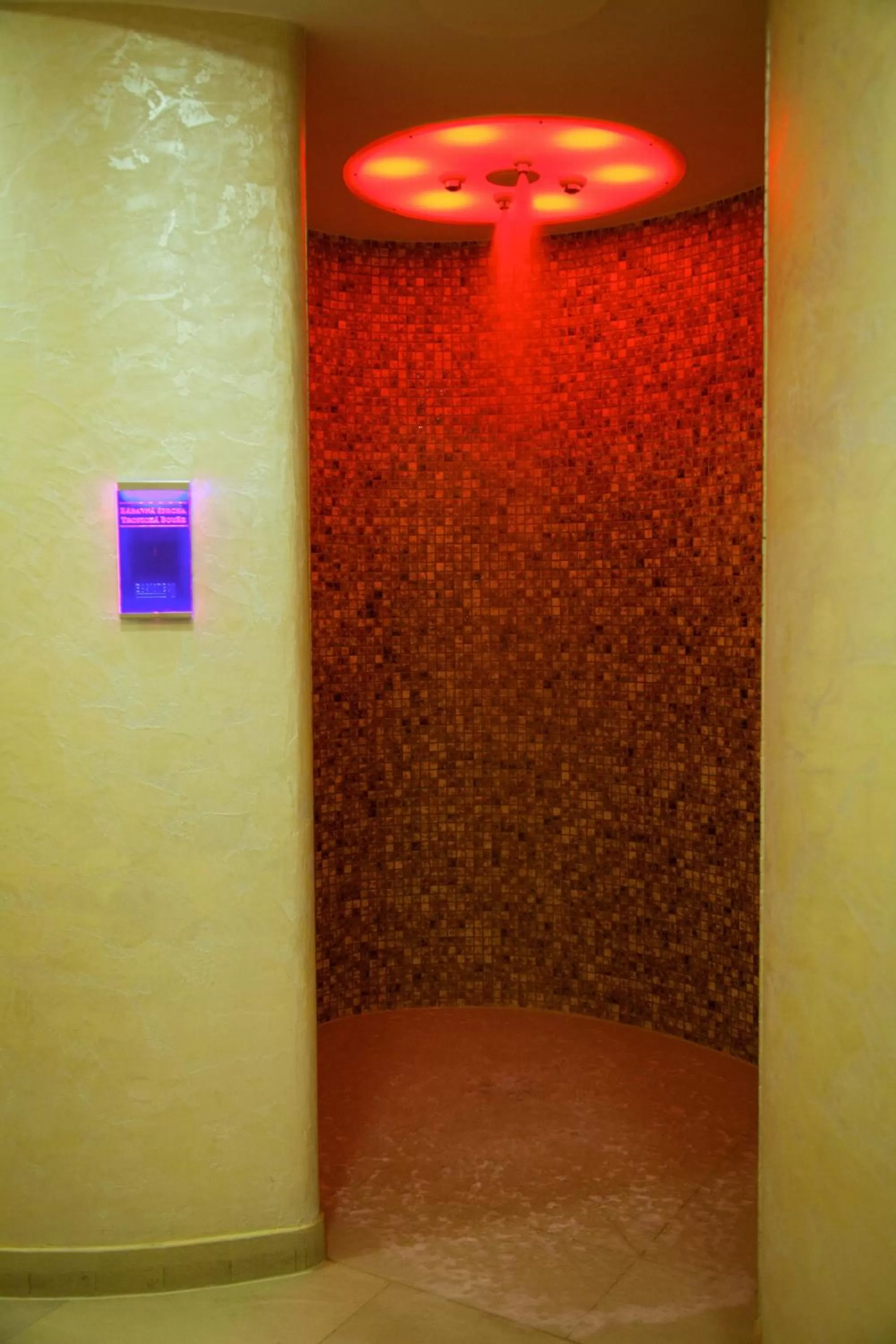 Spa and wellness centre/facilities in Hotel Ambiente Wellness & Spa