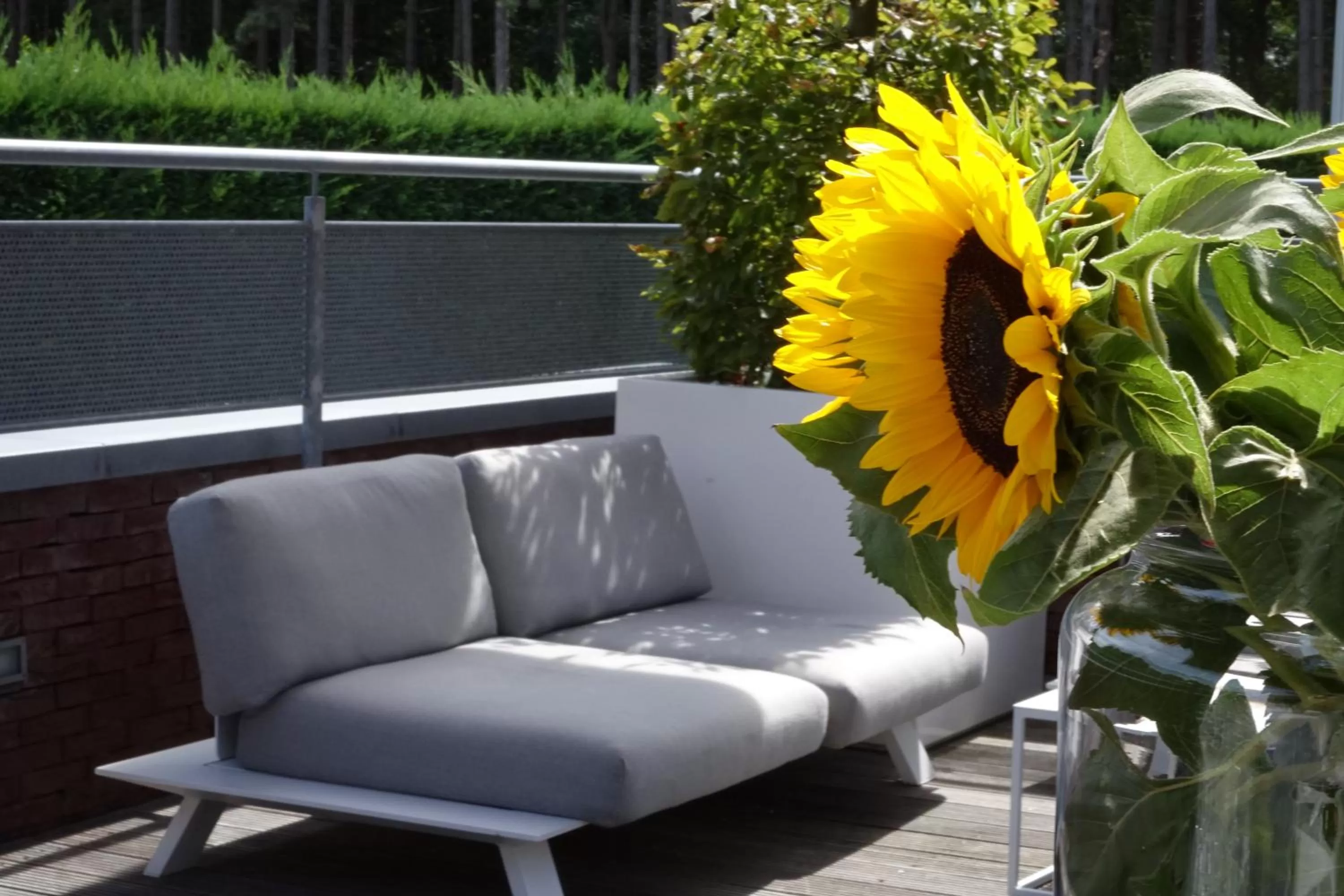 Balcony/Terrace in Stiemerheide - The Urban Hotel & Golf Retreat 4 Star Superior