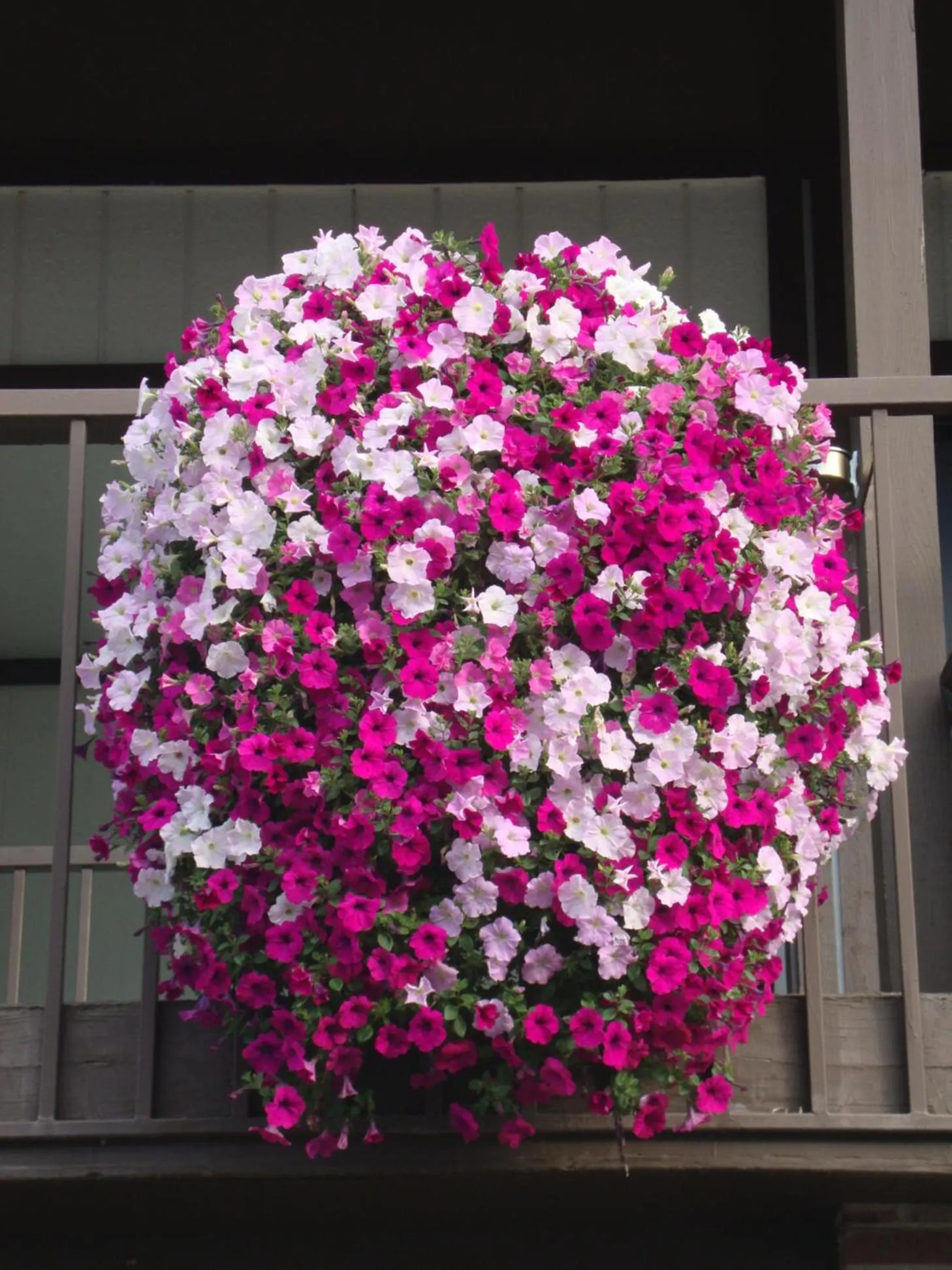 Decorative detail in Silver Spruce Inn