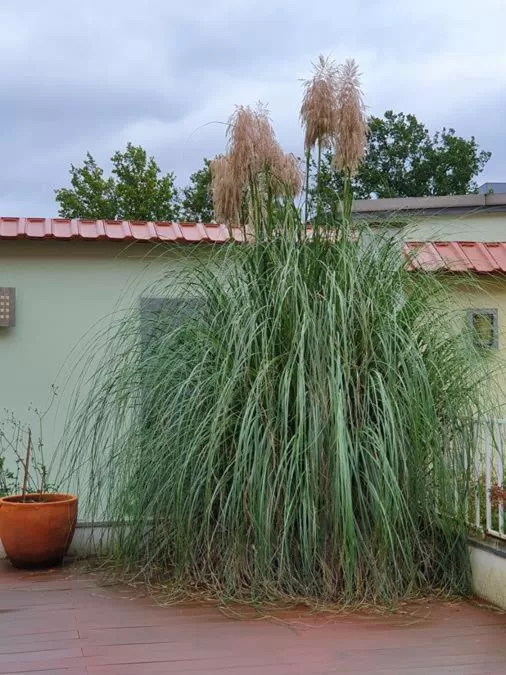 Property building in artHOTEL Bremen