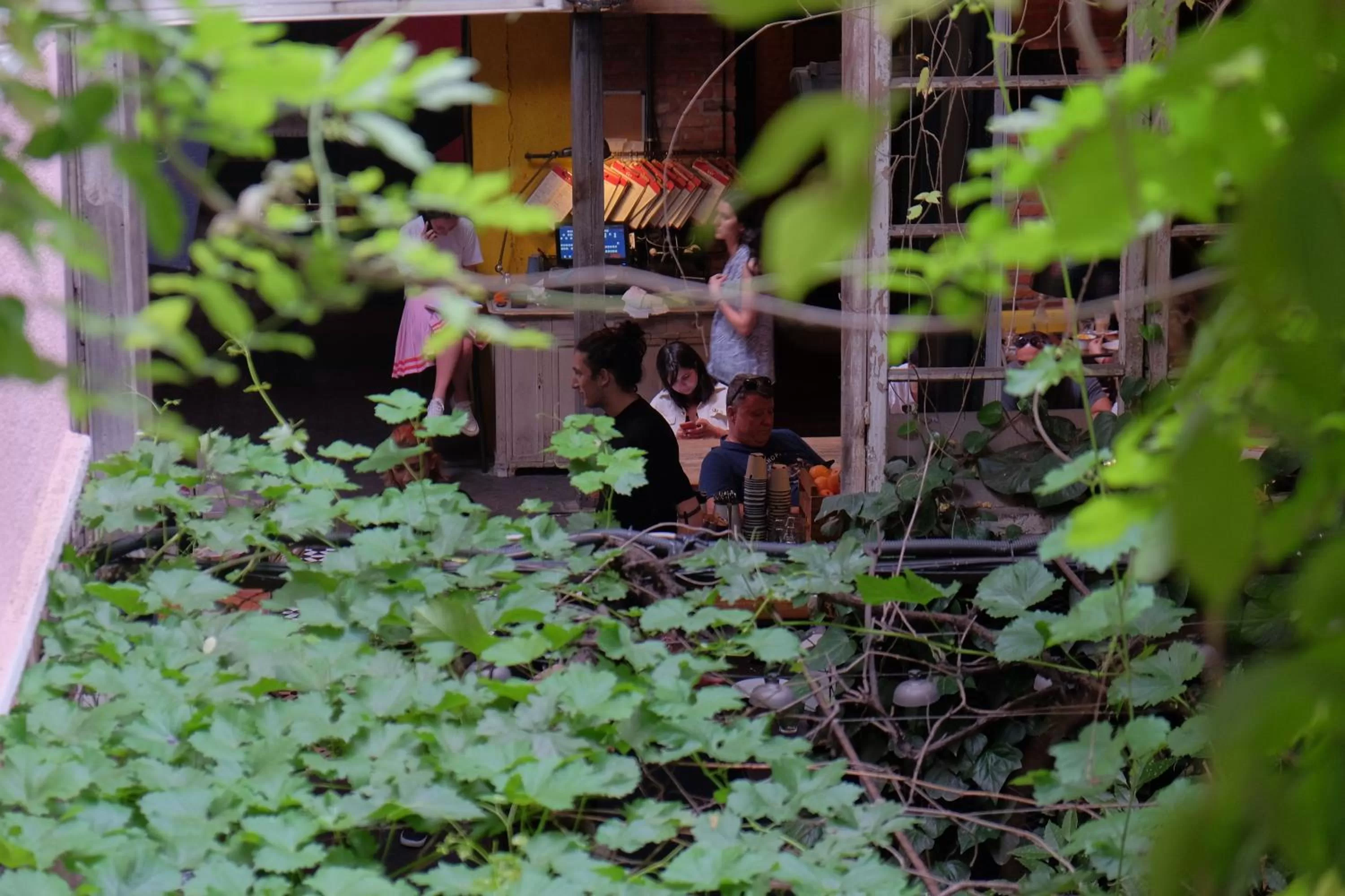 Restaurant/places to eat in Blueberry Nights