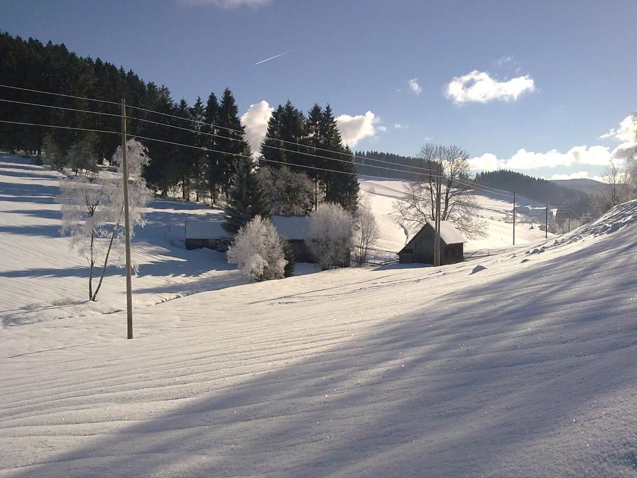 Natural landscape in ZUR TRAUBE Schwarzwaldhotel & Restaurant am Titisee