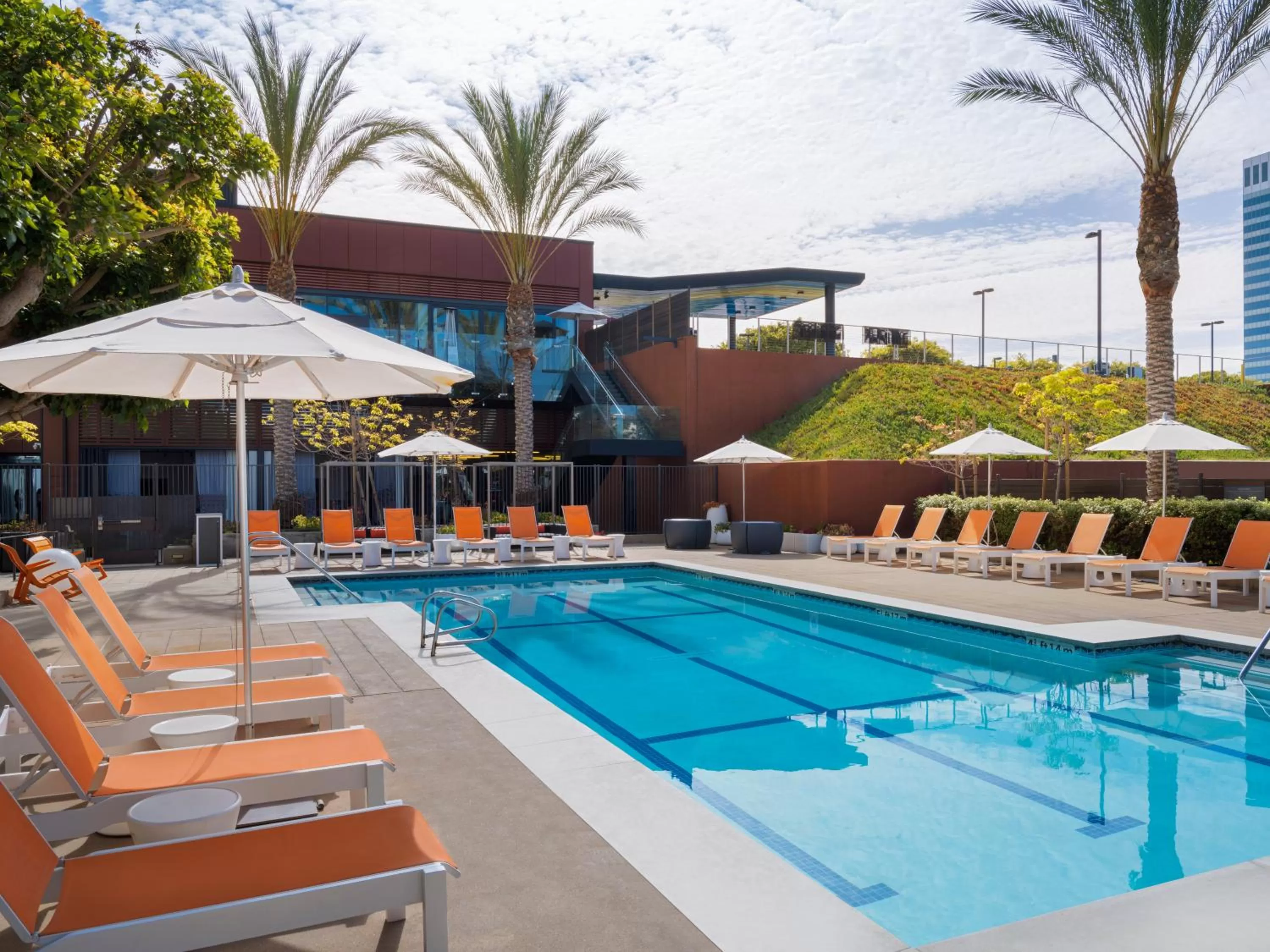Pool view in Aloft El Segundo - Los Angeles Airport