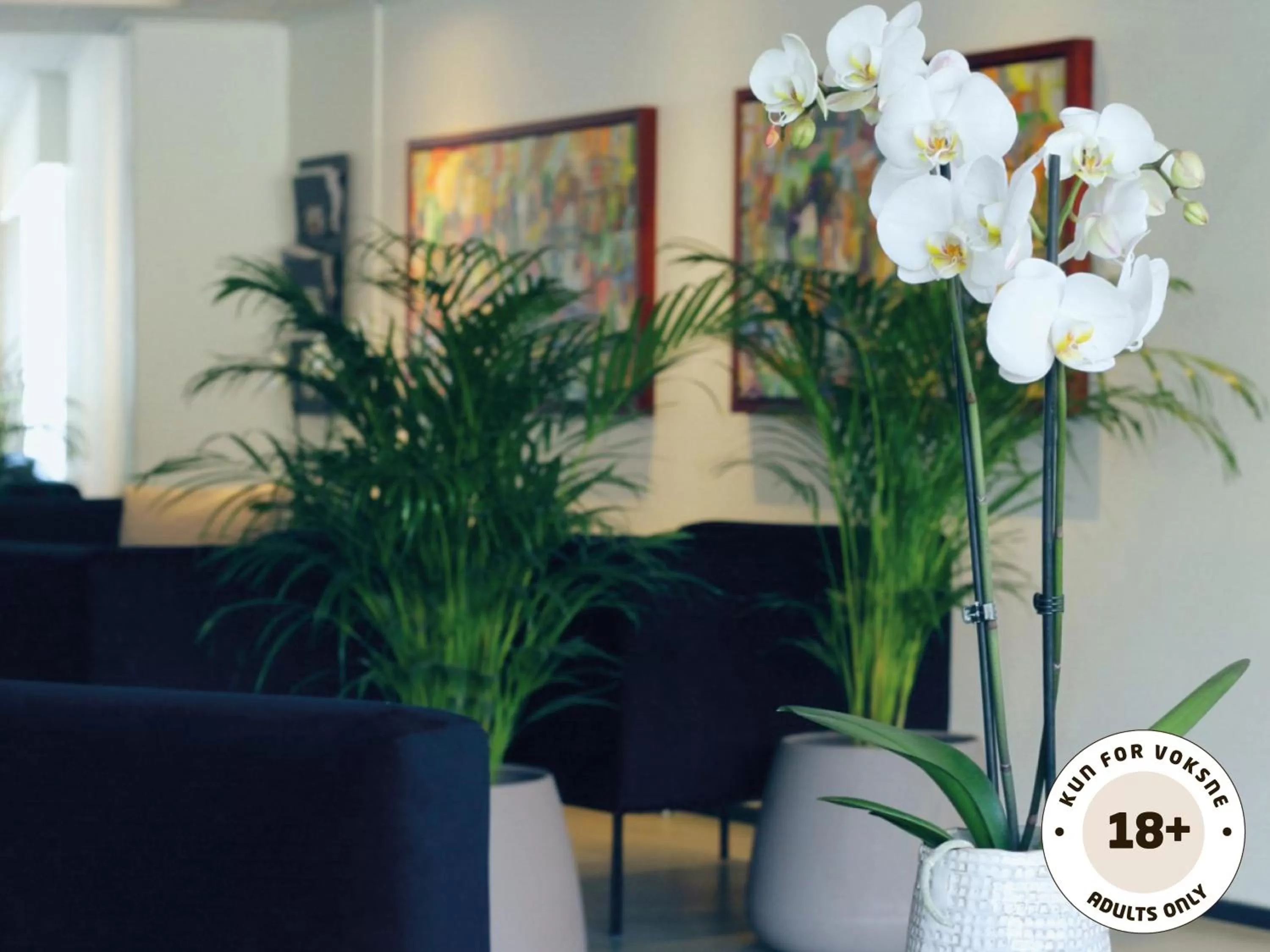 Lobby or reception in Ærø Hotel - Adults only