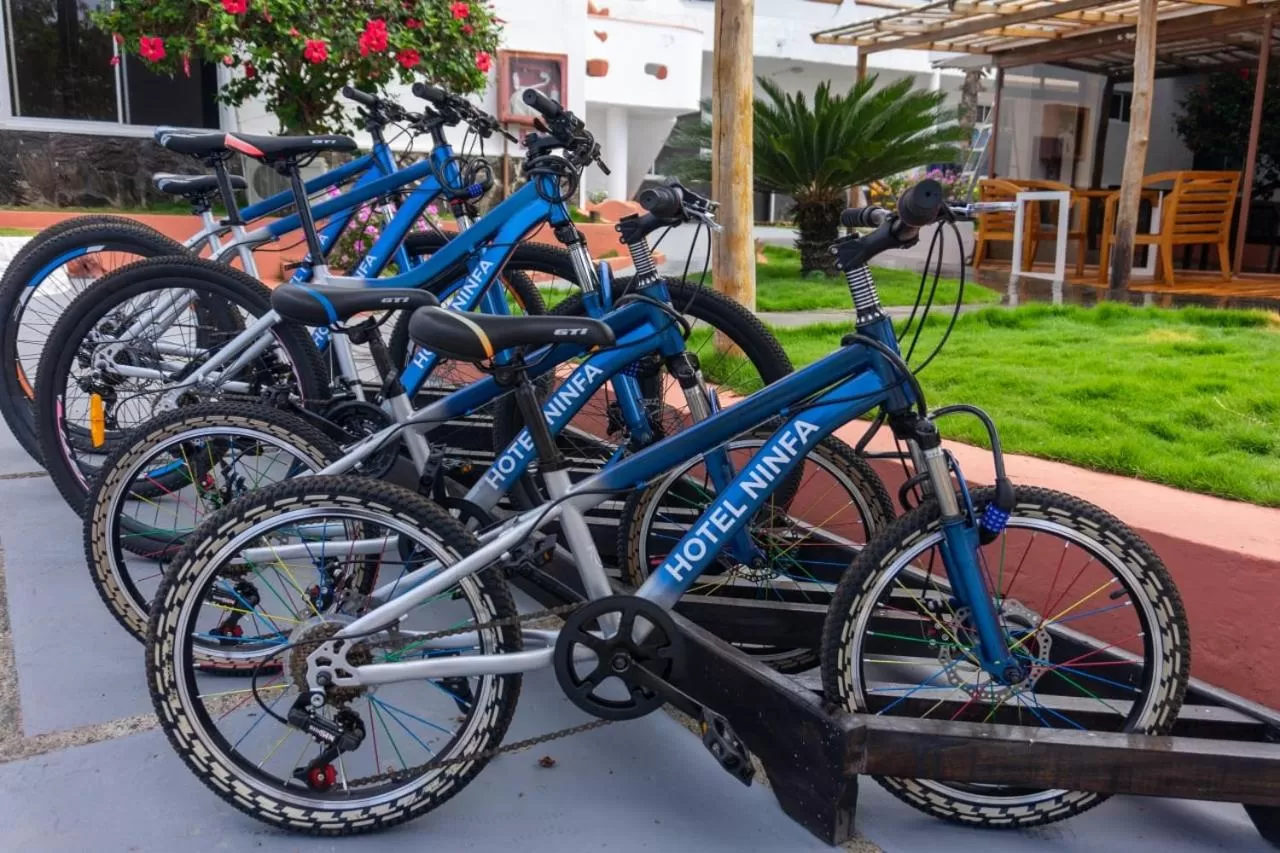 Cycling, Biking in Hotel Las Ninfas