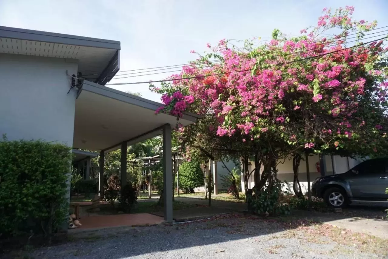 แกรนด์ ฟอเรสท์ Grand Forest