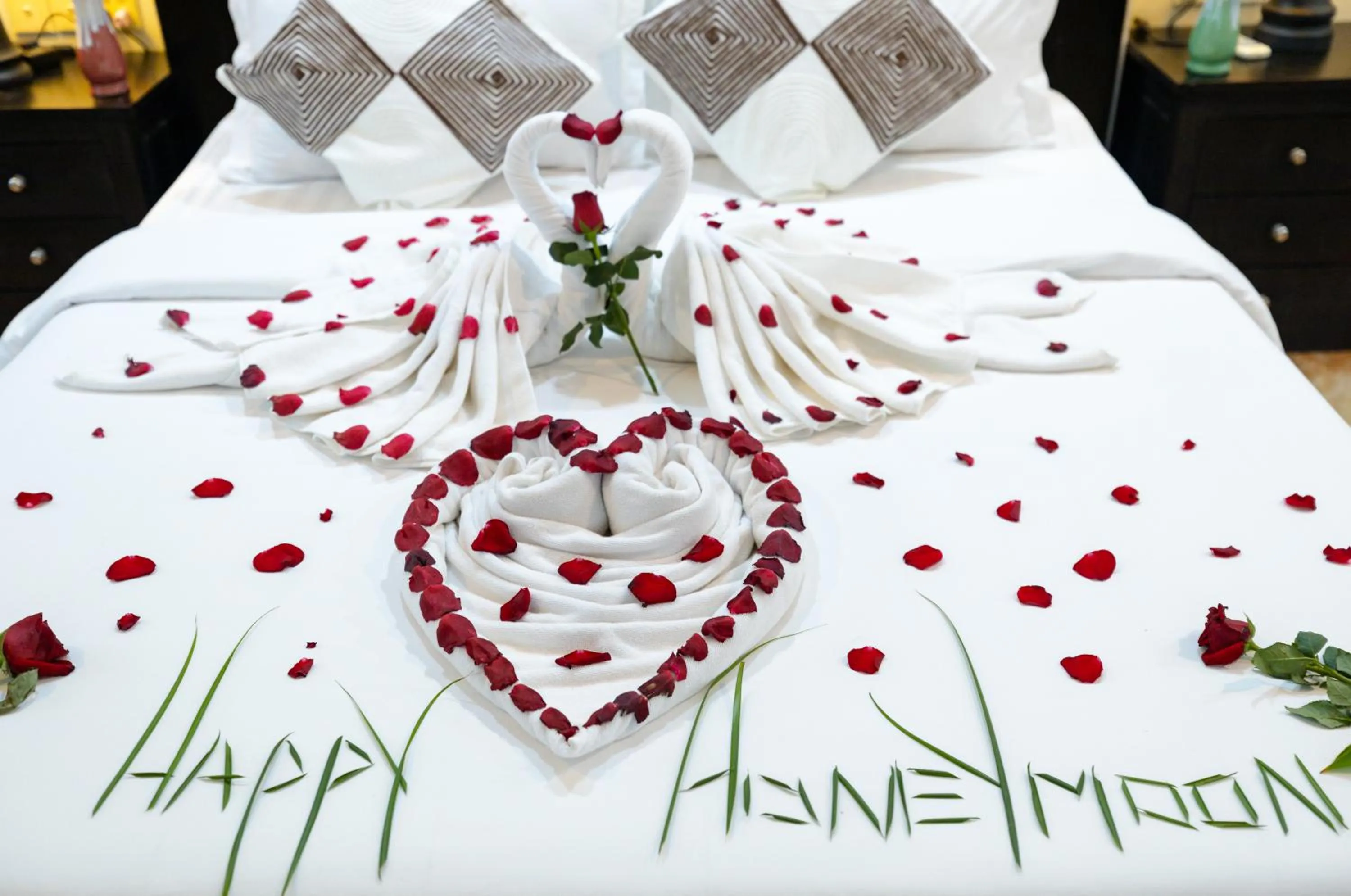 Bed in Siem Reap Comforts Hostel