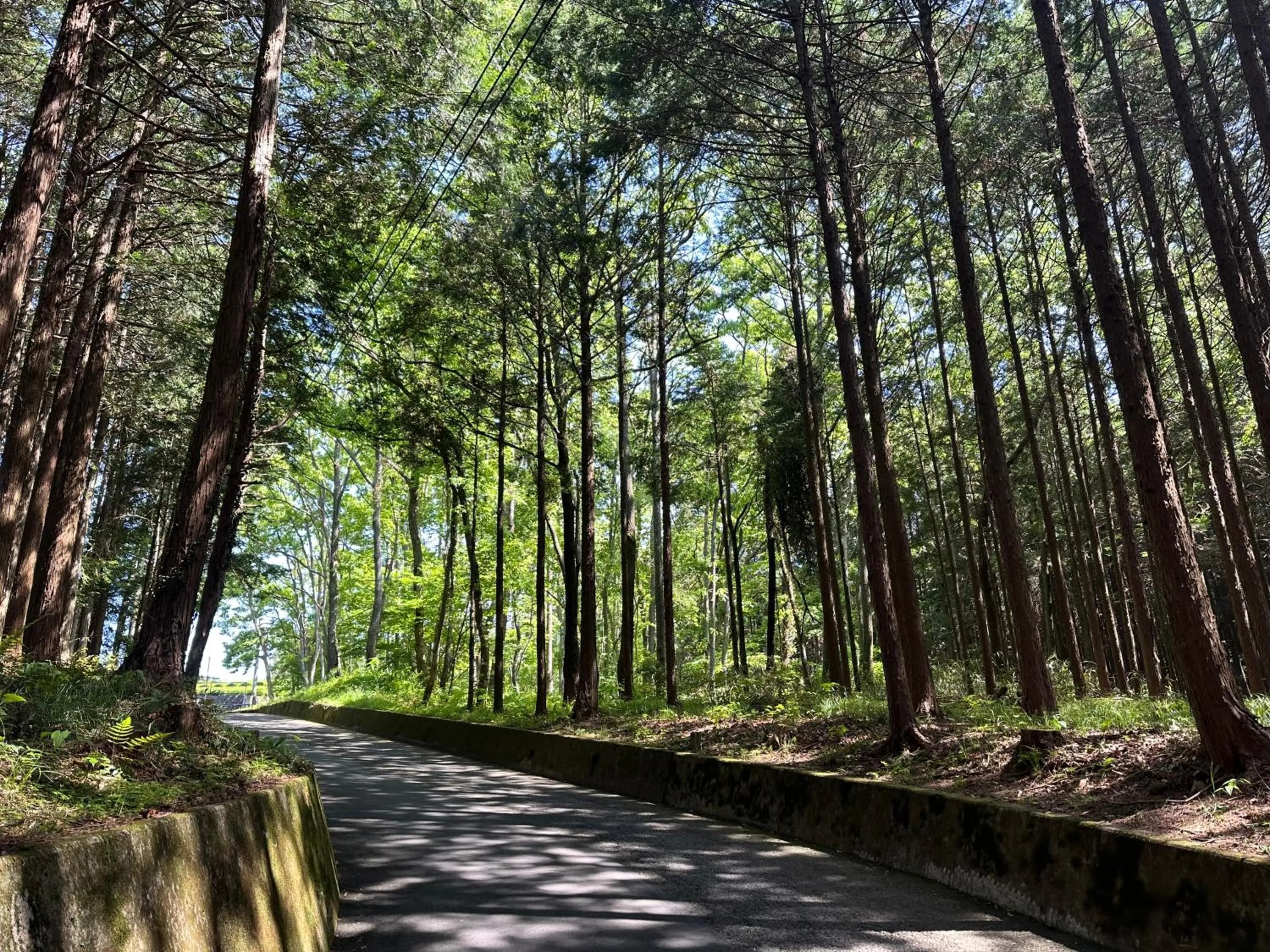 Nearby landmark in Fuji Speedway Hotel, in The Unbound Collection by Hyatt