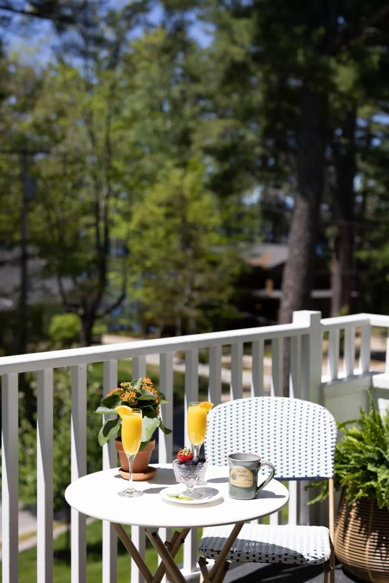 Balcony/Terrace in Noble House Inn