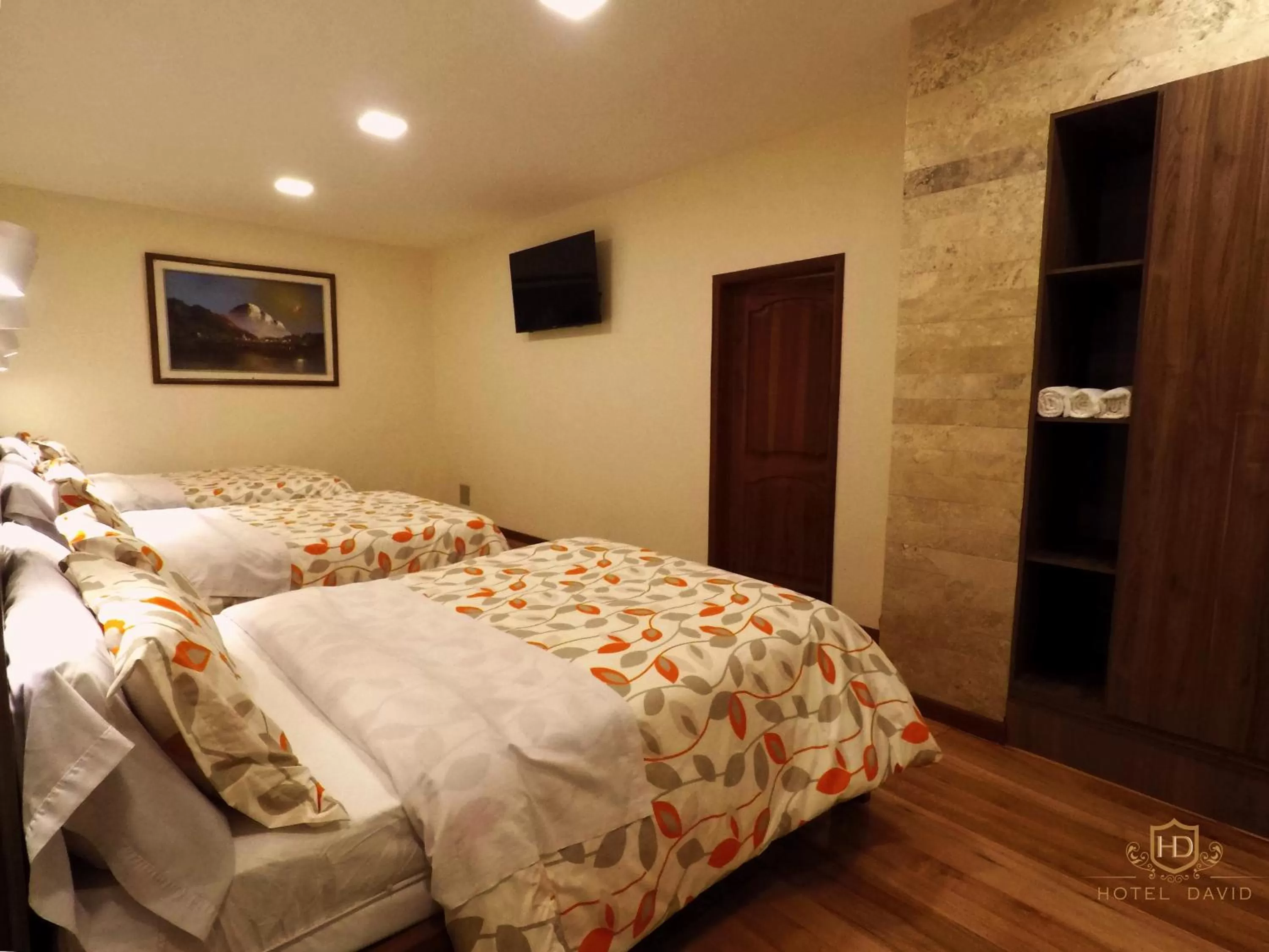 Photo of the whole room, Bed in Hotel David