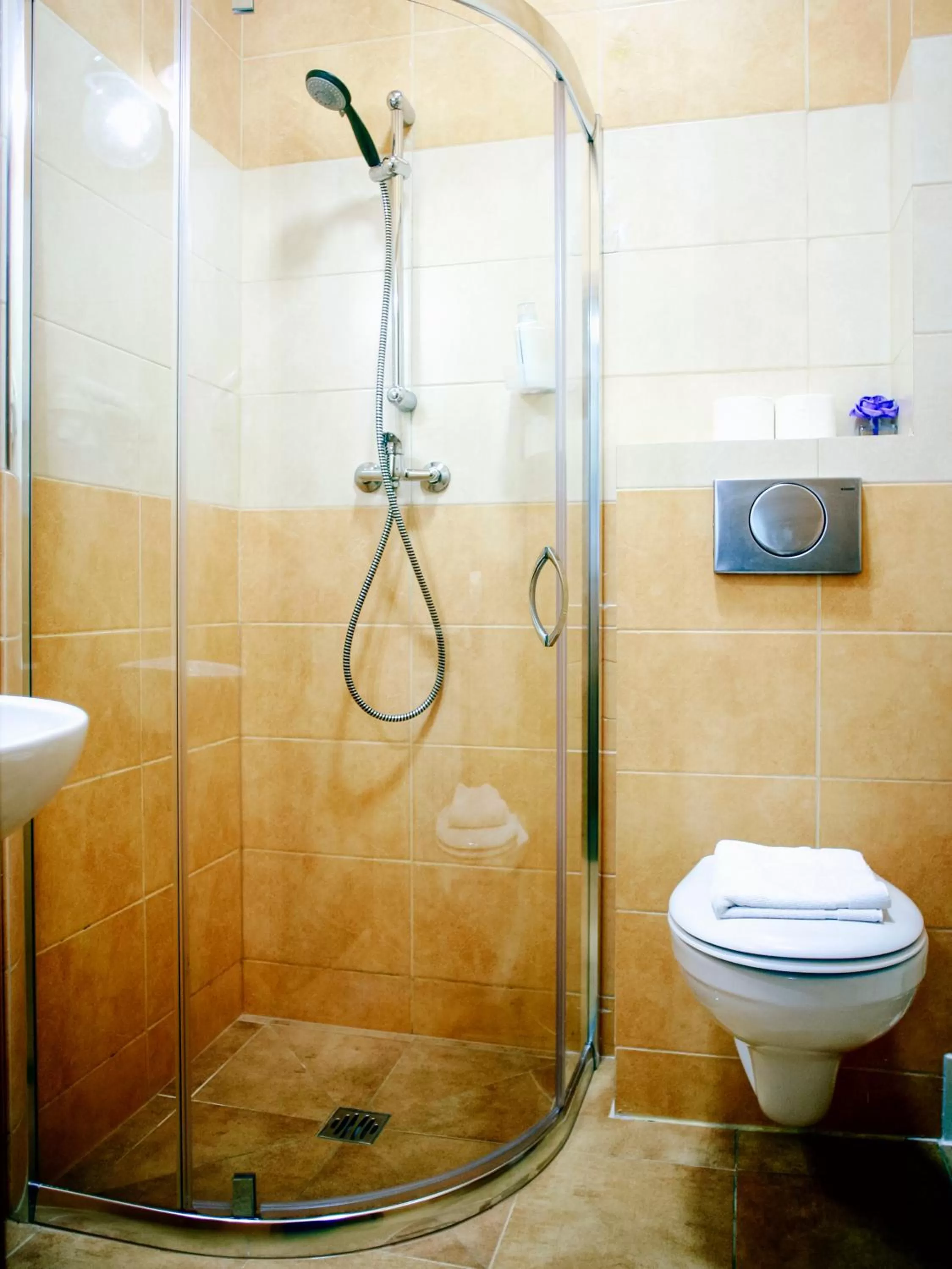 Shower, Bathroom in Miodosytnia Aparthotel