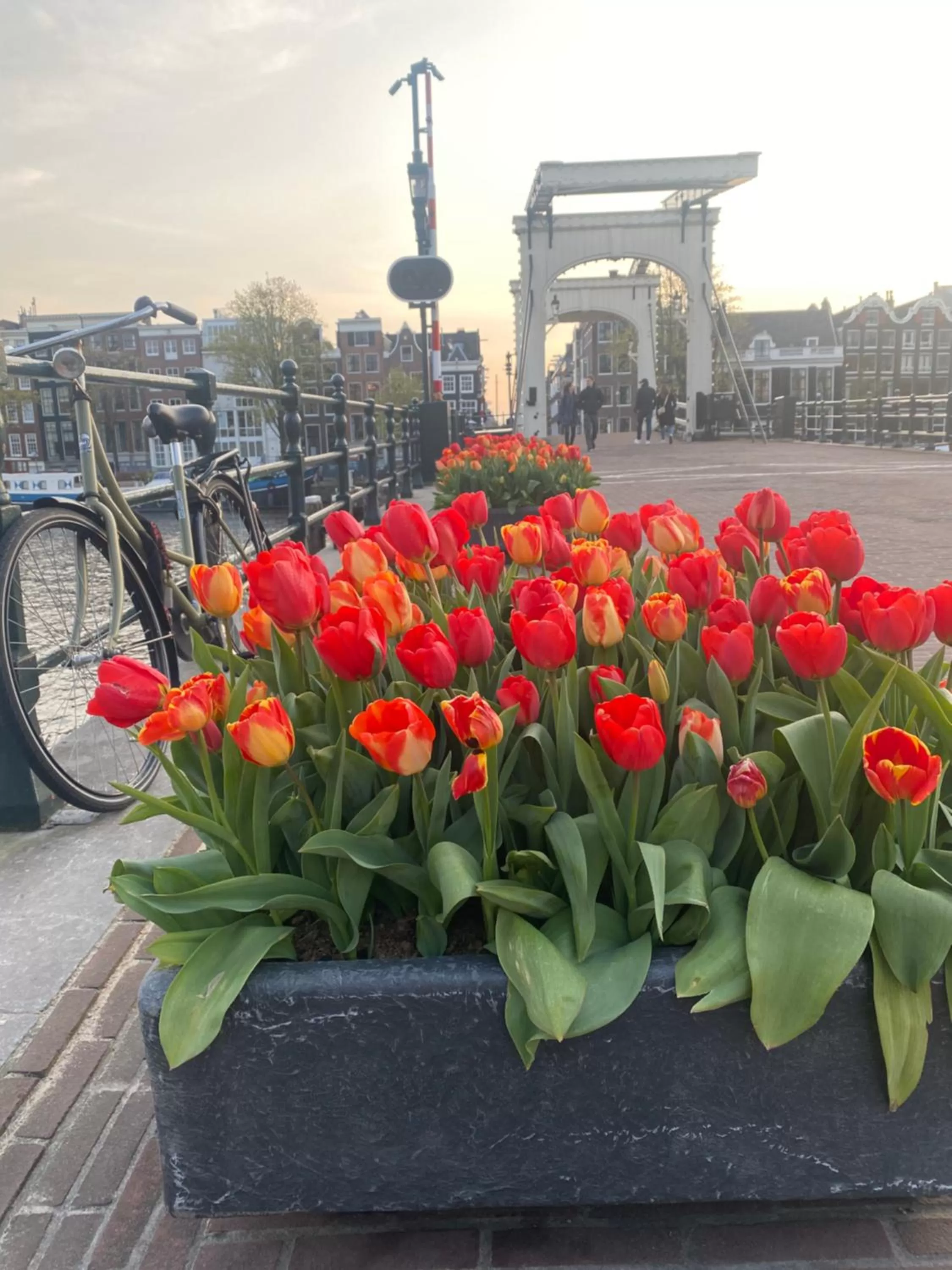 Nearby landmark in Amstel Boutique Studio