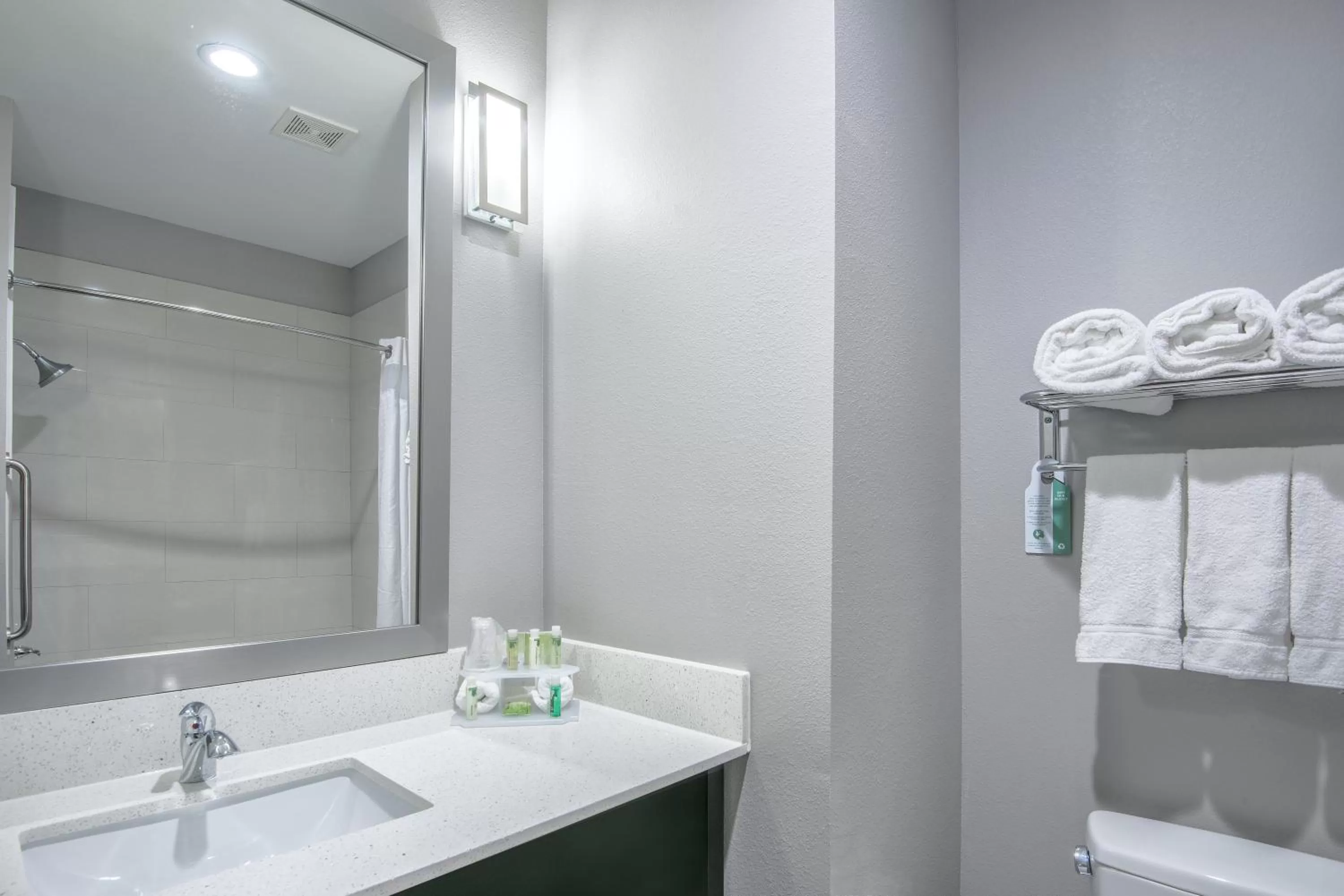 Bathroom in Holiday Inn Express and Suites Houston North - IAH Area by IHG