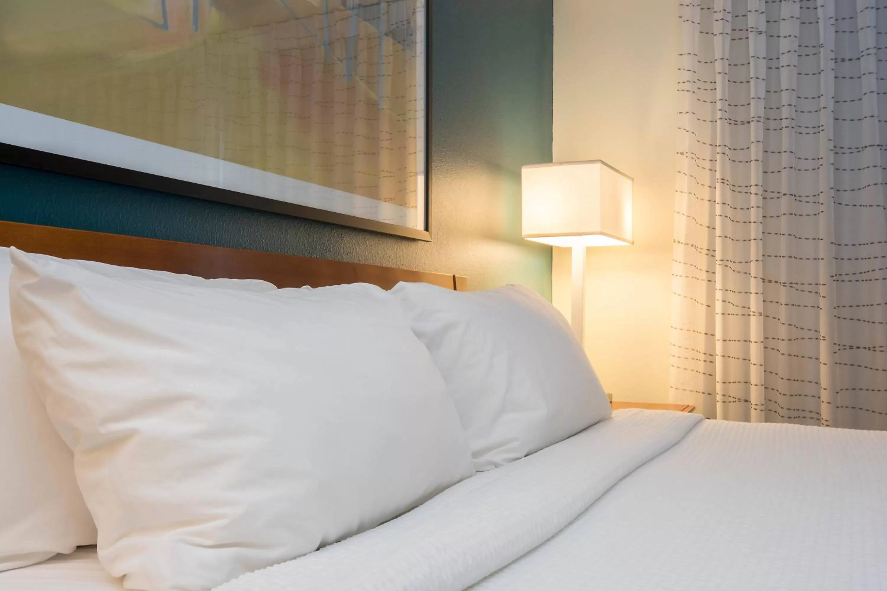 One-Bedroom Suite in Residence Inn by Marriott Charlotte Piper Glen