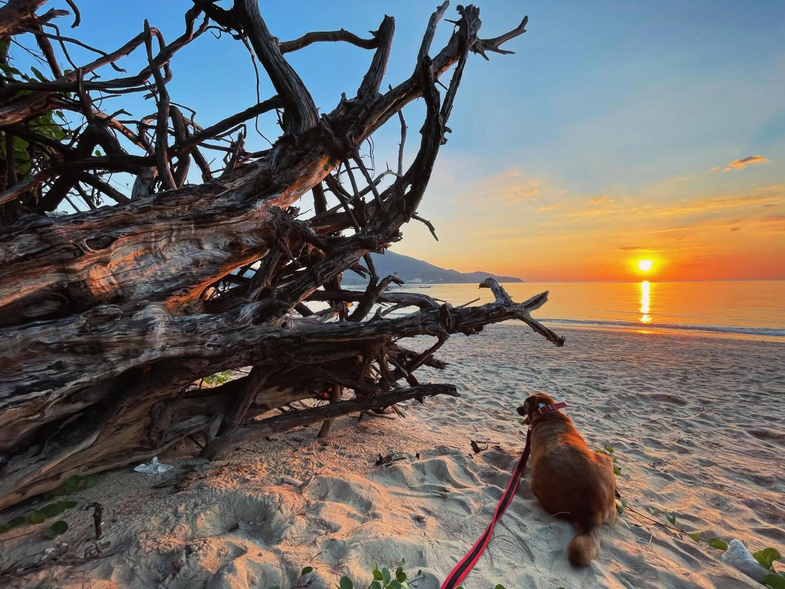 Beach in Ideo Phuket Hotel - Naiyang Beach