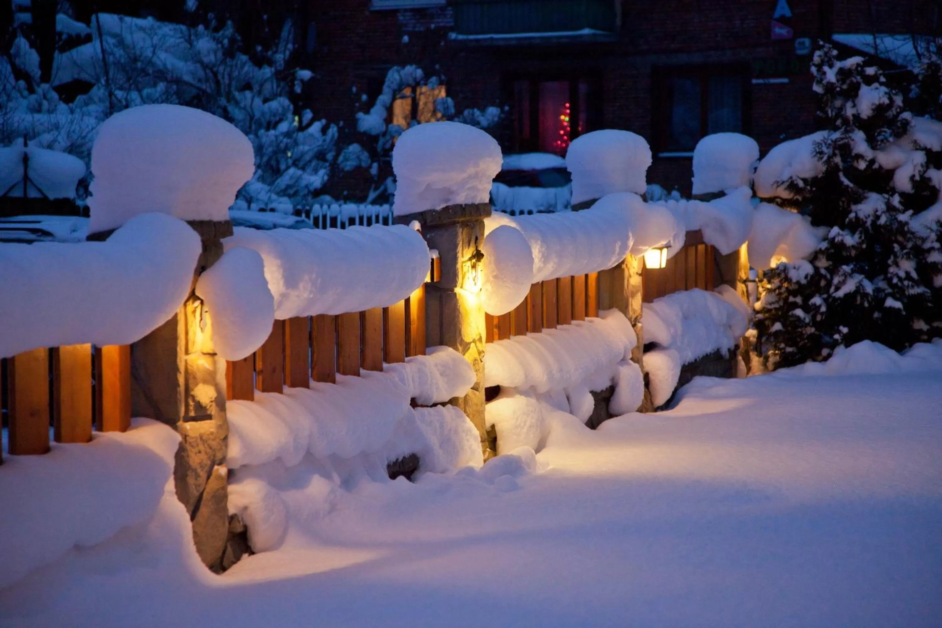 Winter in Leśny Dworek Zakopane