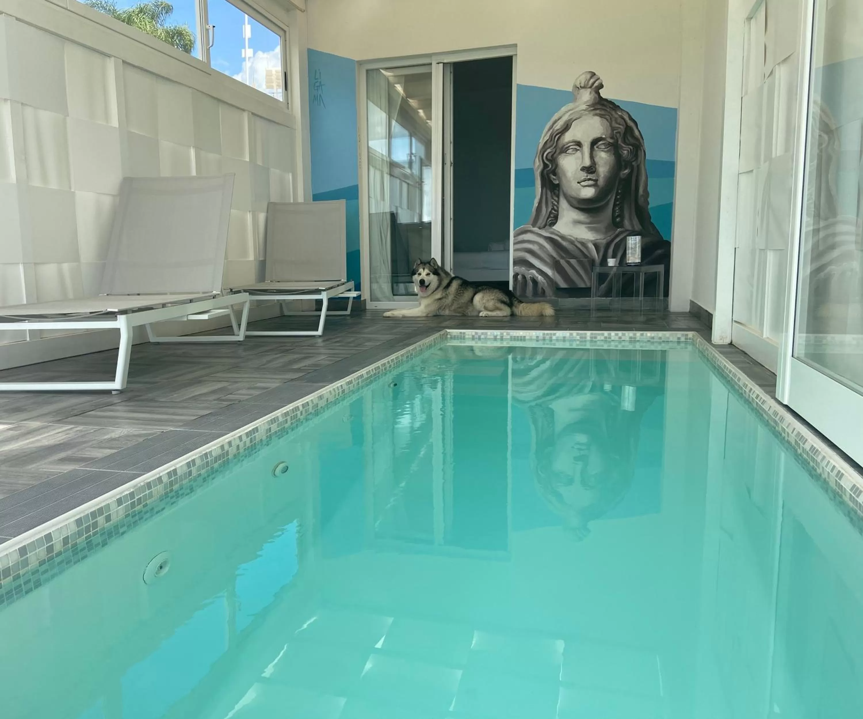 Pets in Doric Eco Boutique Resort & Spa - Sicily