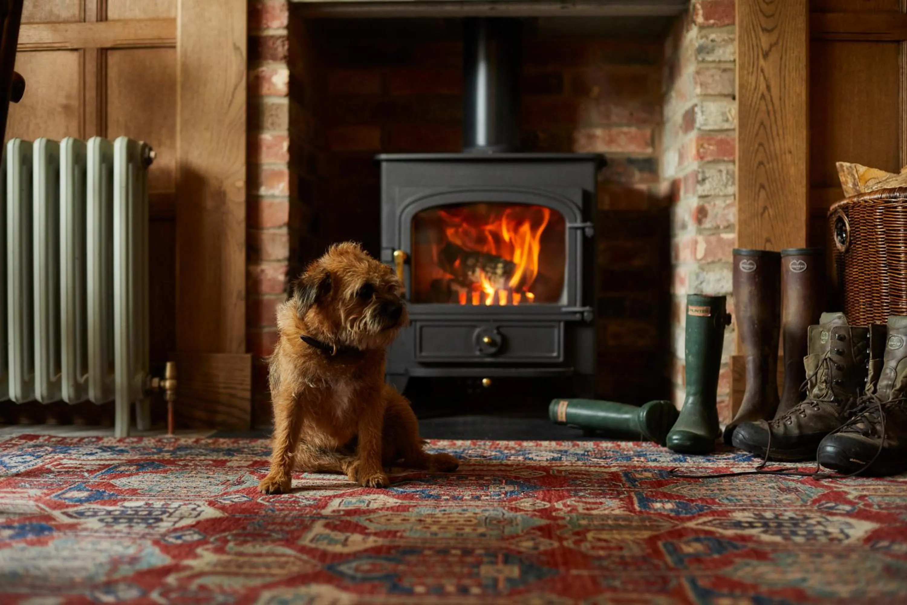 Pets in Crown and Anchor