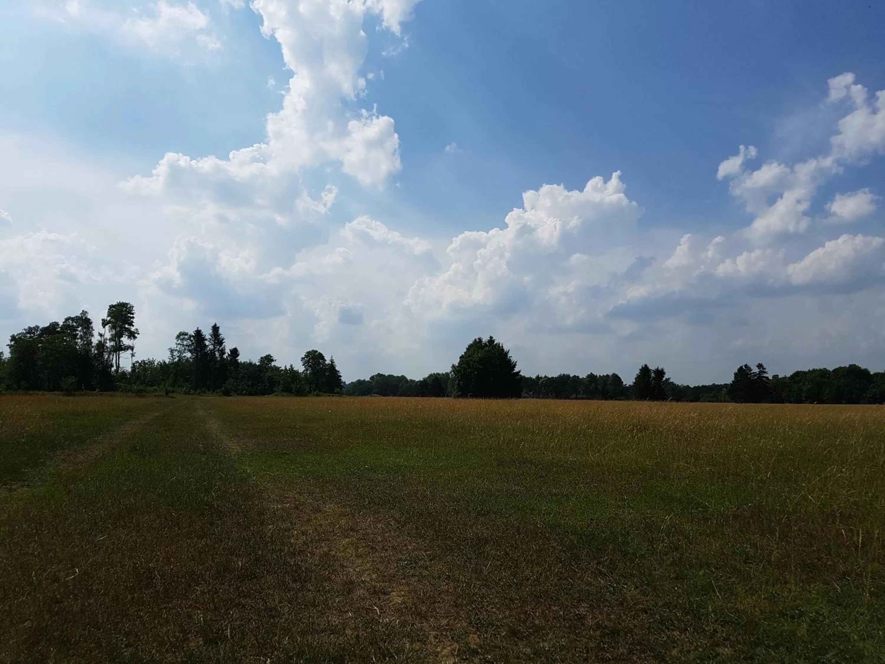 Golfcourse in Kurhotel Anders