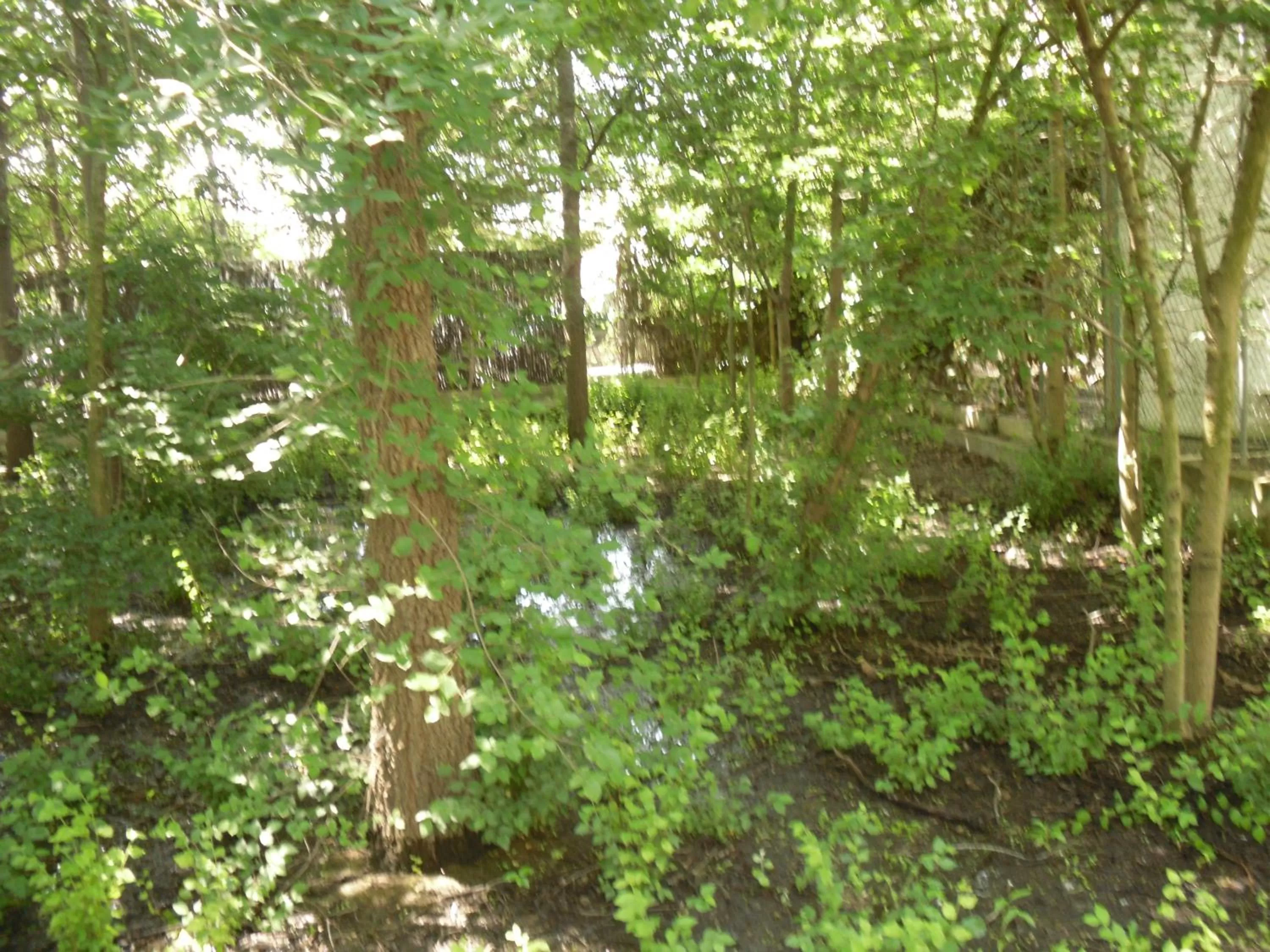 Area and facilities in Hotel Can Batiste