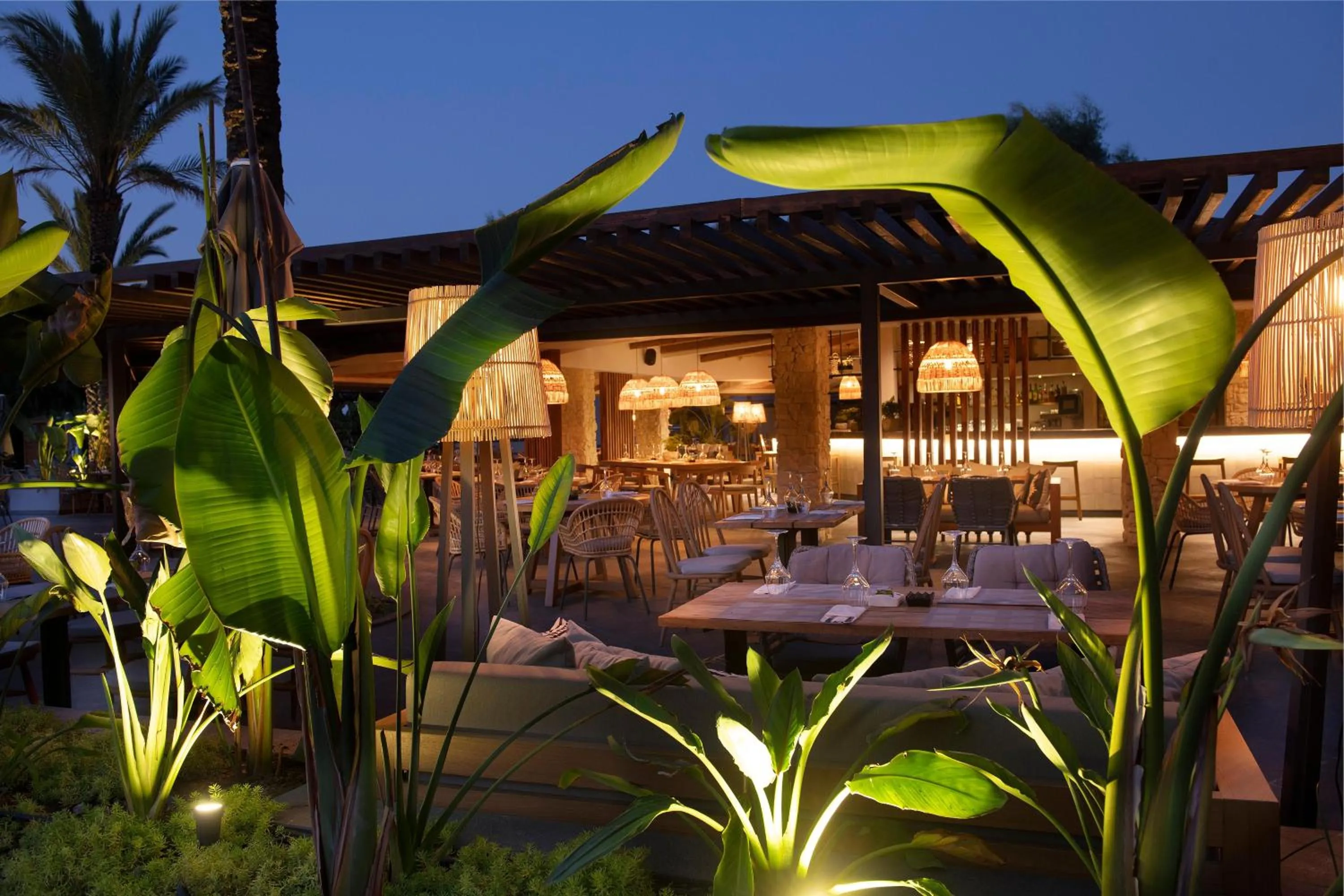 Balcony/Terrace in Miramare Beach Hotel - Ultra All Inclusive