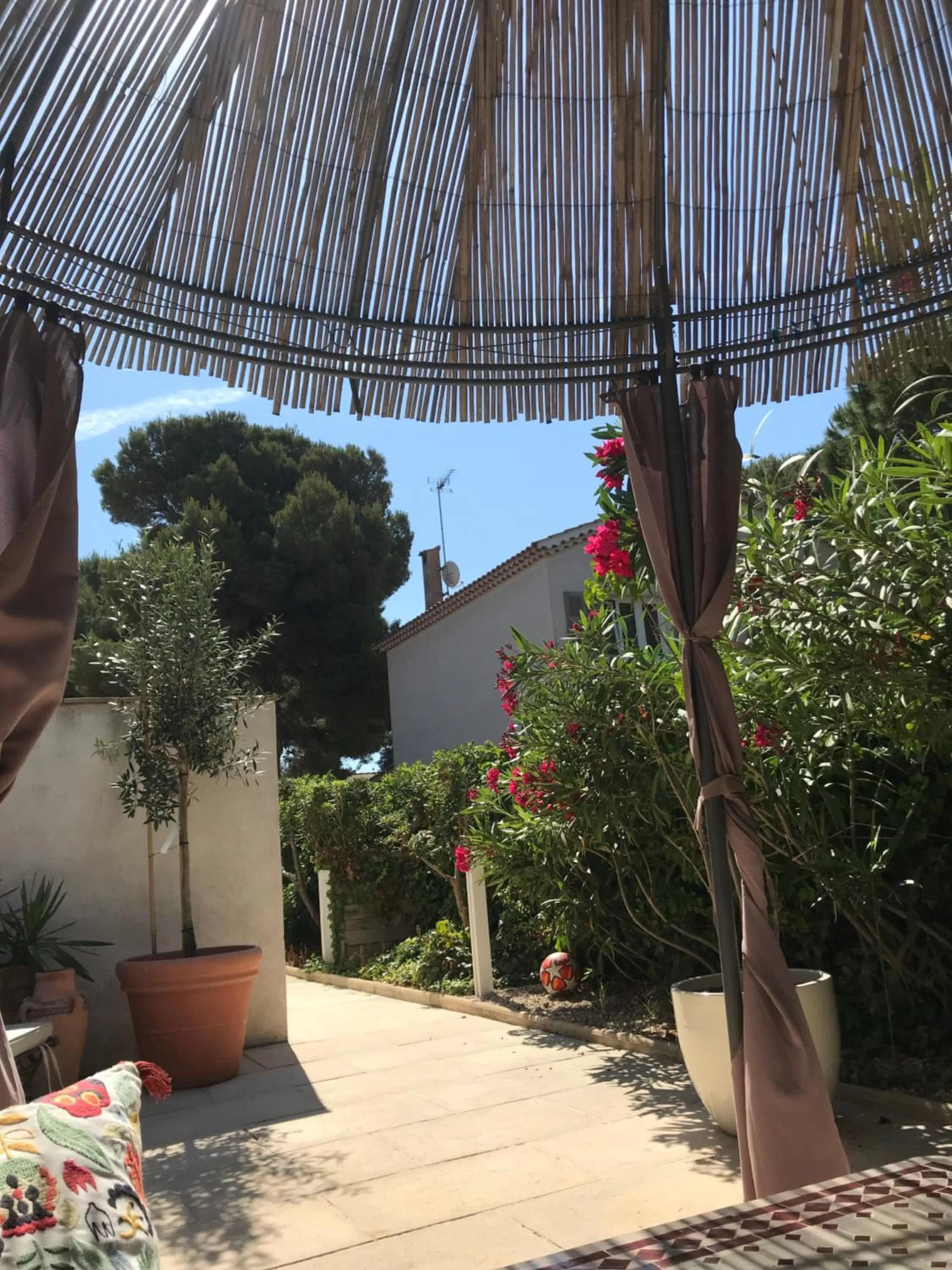 Garden in Hôtel Le Méditerranée