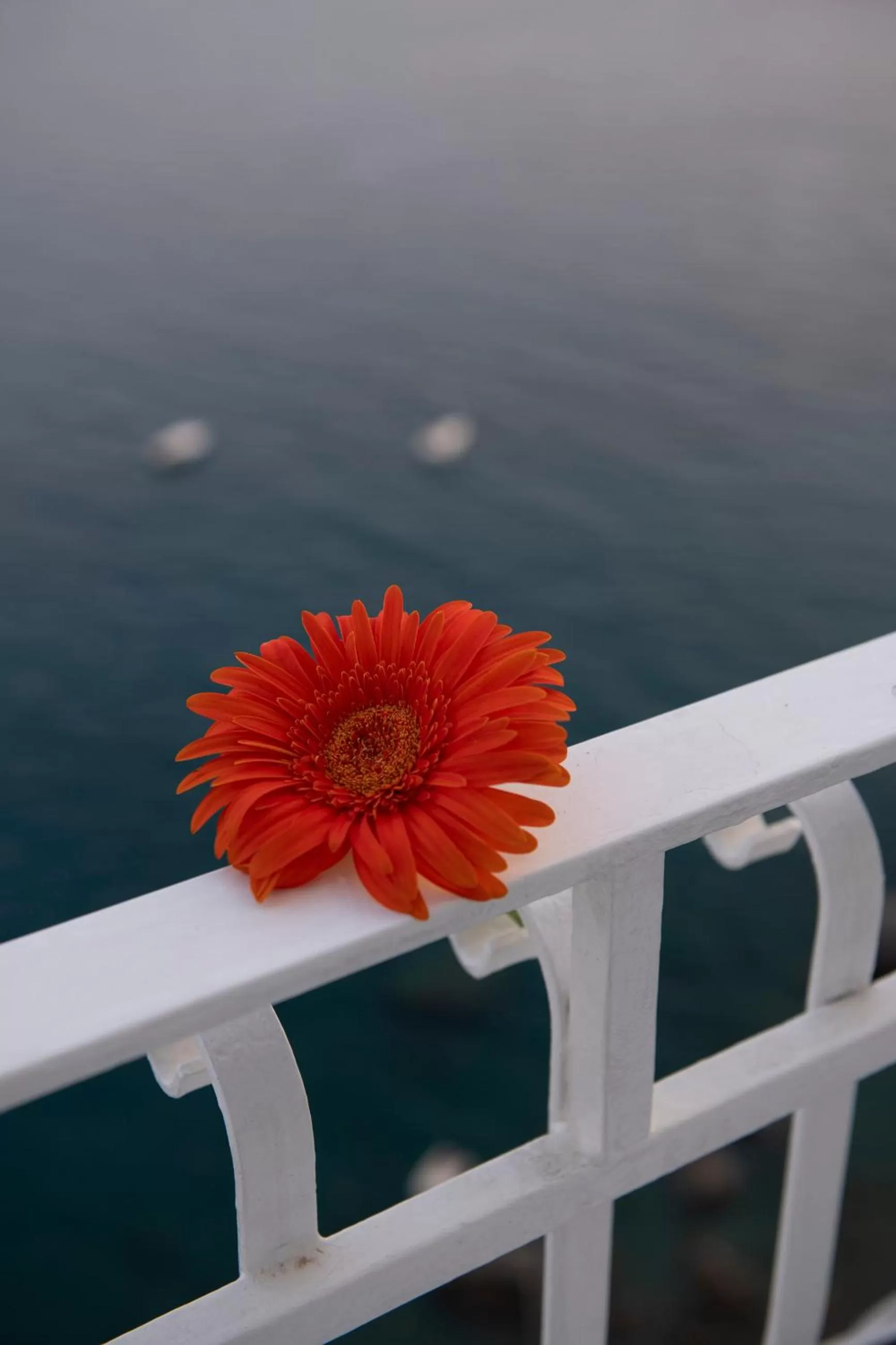 Balcony/Terrace in Hotel La Ninfa