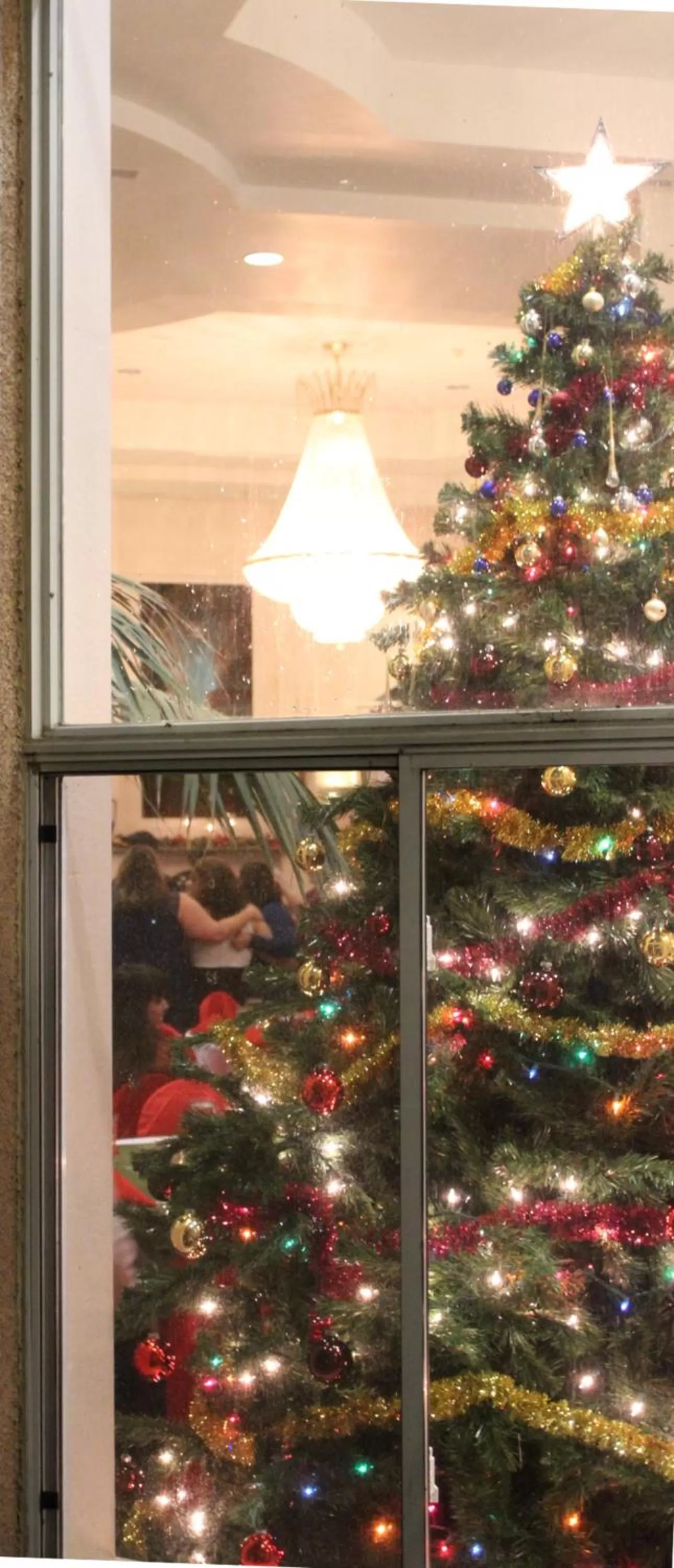 Winter in Forest Villas Hotel