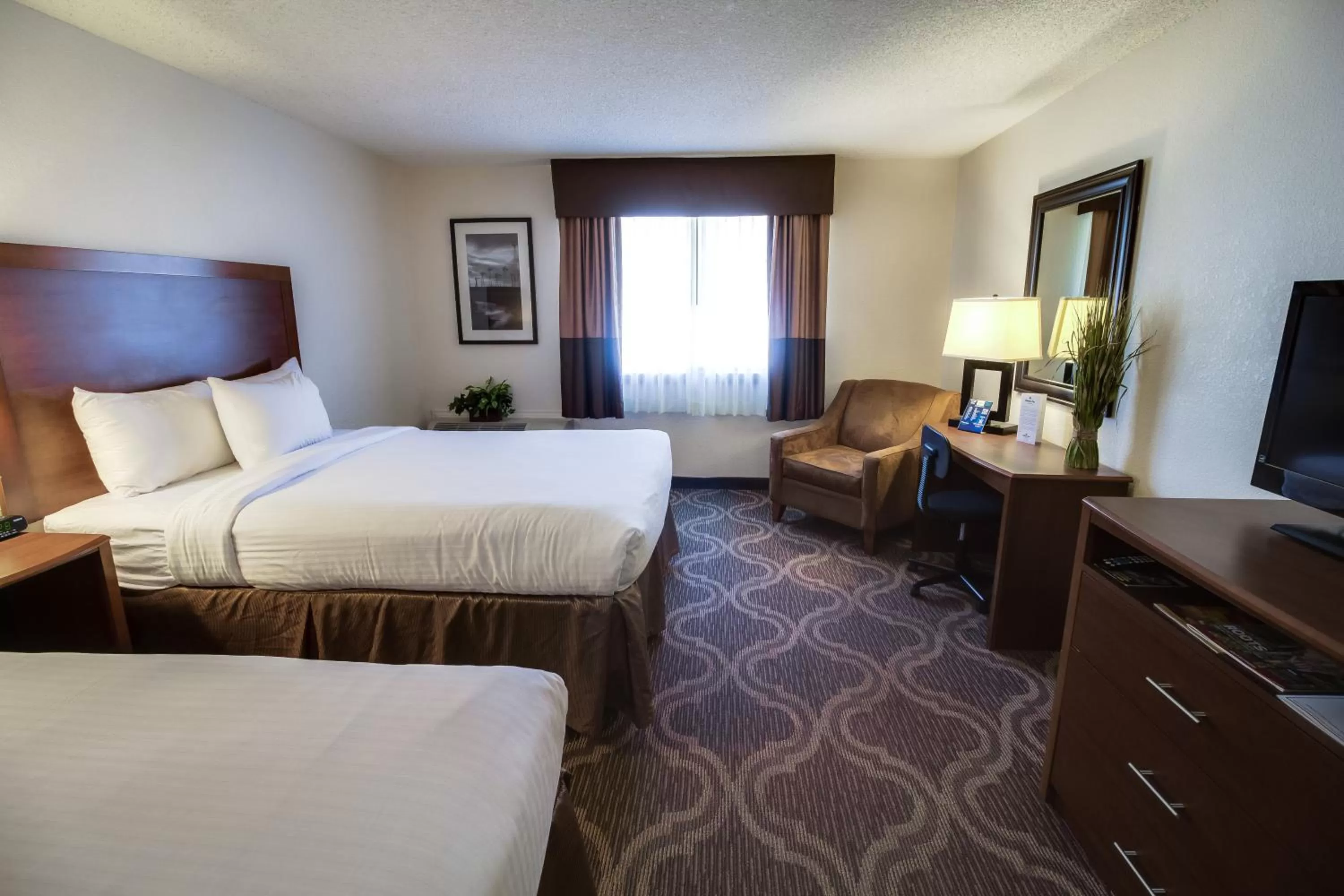 Standard Room with Two Queen Beds in Ashmore Inn and Suites Lubbock