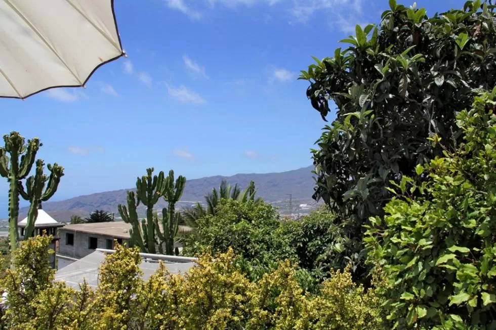 Mountain view in Jardin de Aridane