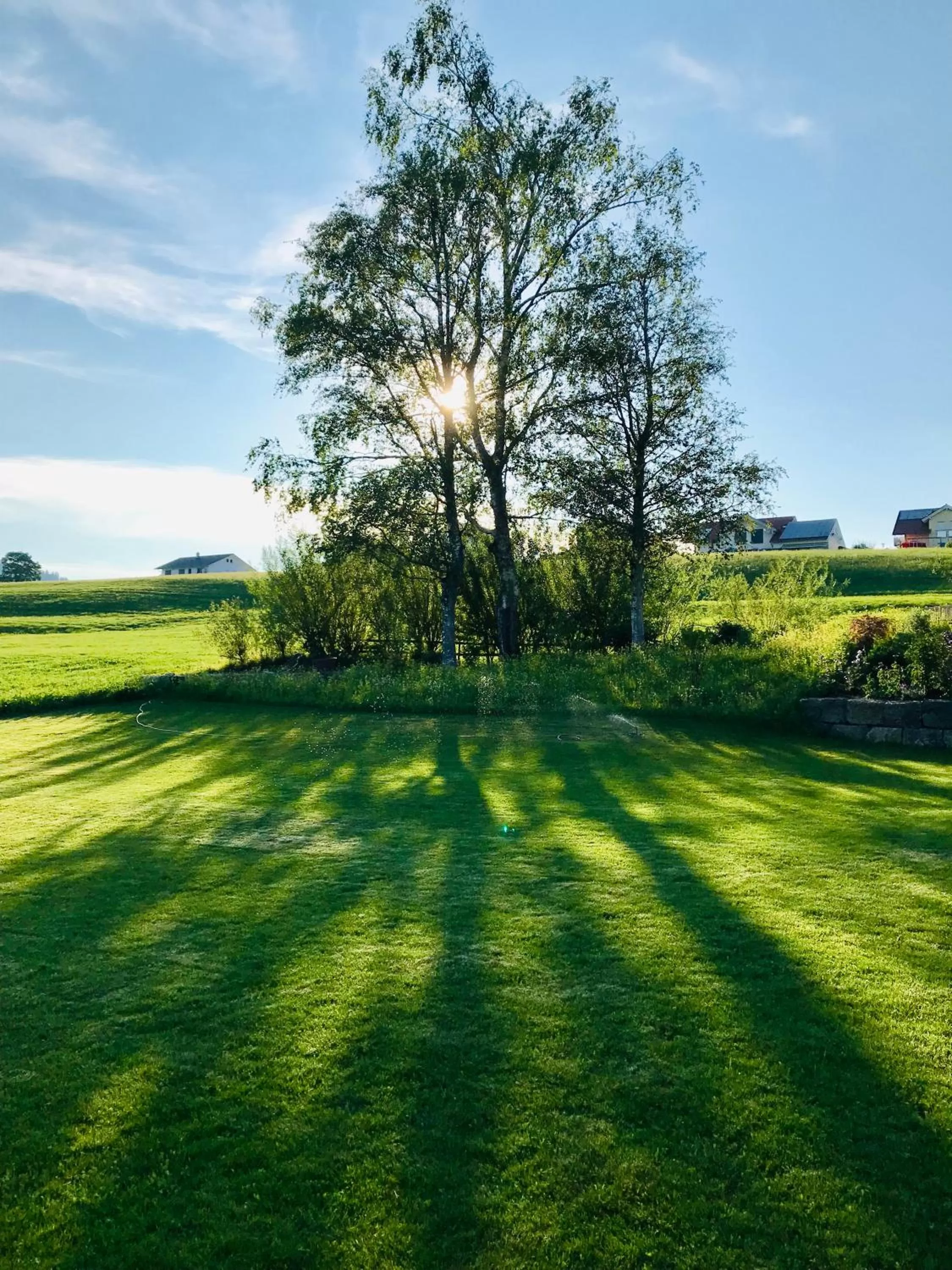 Natural landscape in Alpenloge Design Hotel
