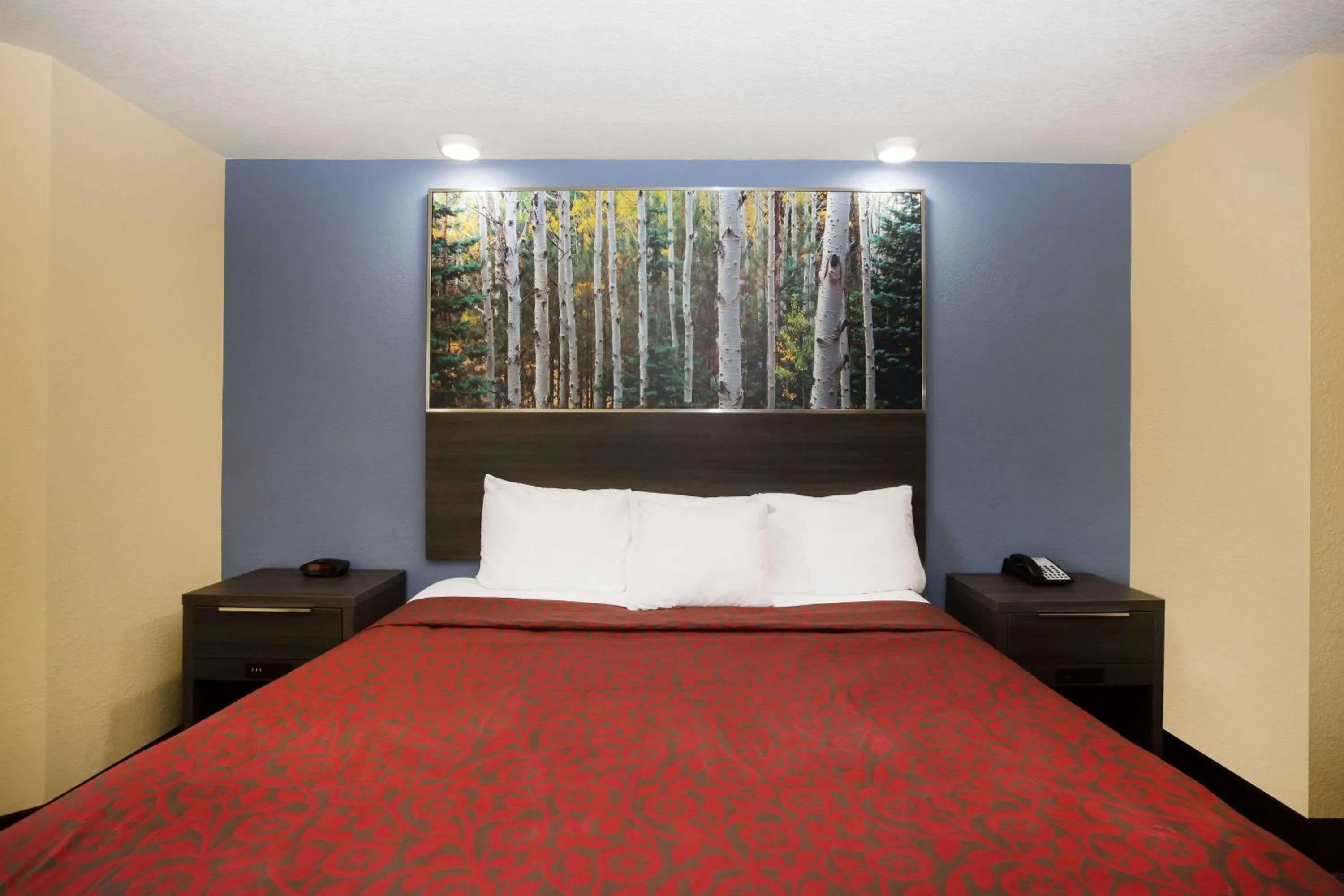 Photo of the whole room, Bed in Days Inn by Wyndham Blue Springs