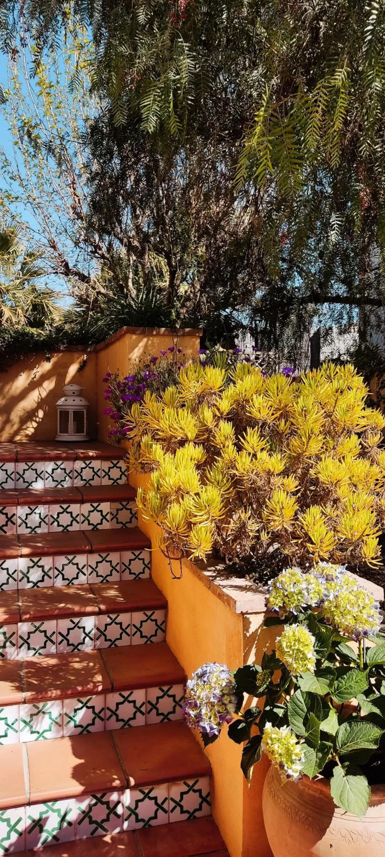 Chalet Trolio bed & breakfast