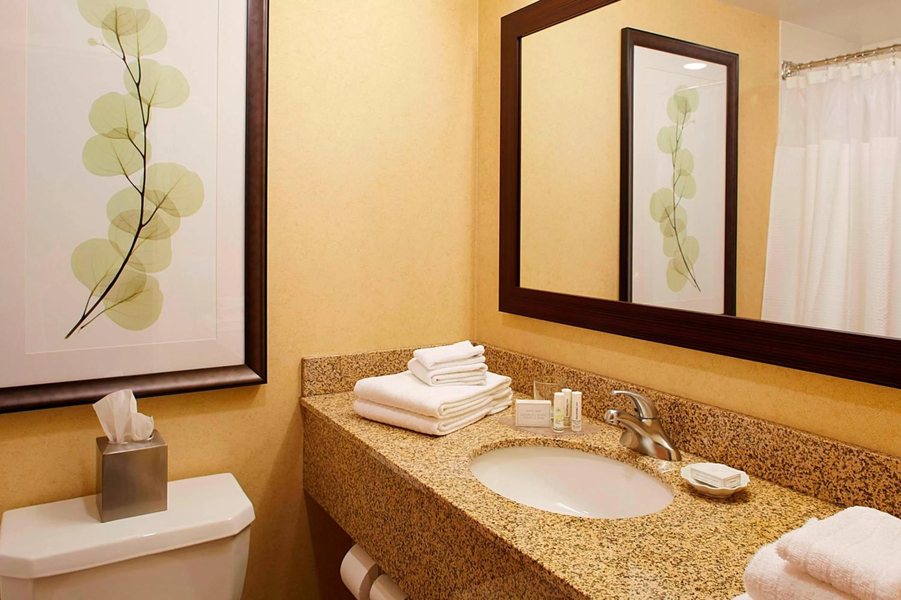 Executive King Suite in Courtyard by Marriott Ithaca Airport/University