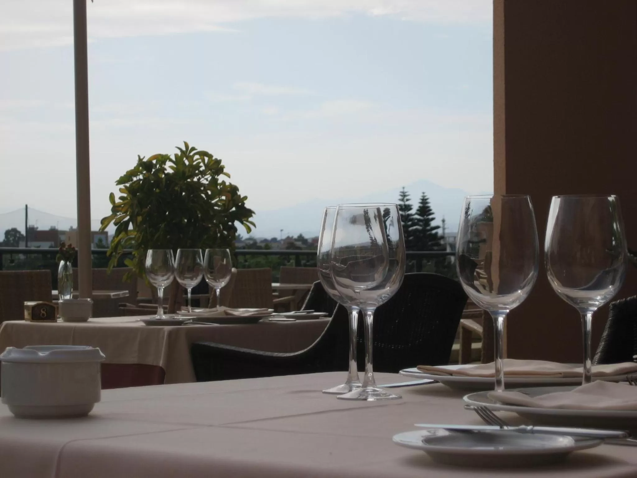 Restaurant/places to eat in Hotel Alicante Golf