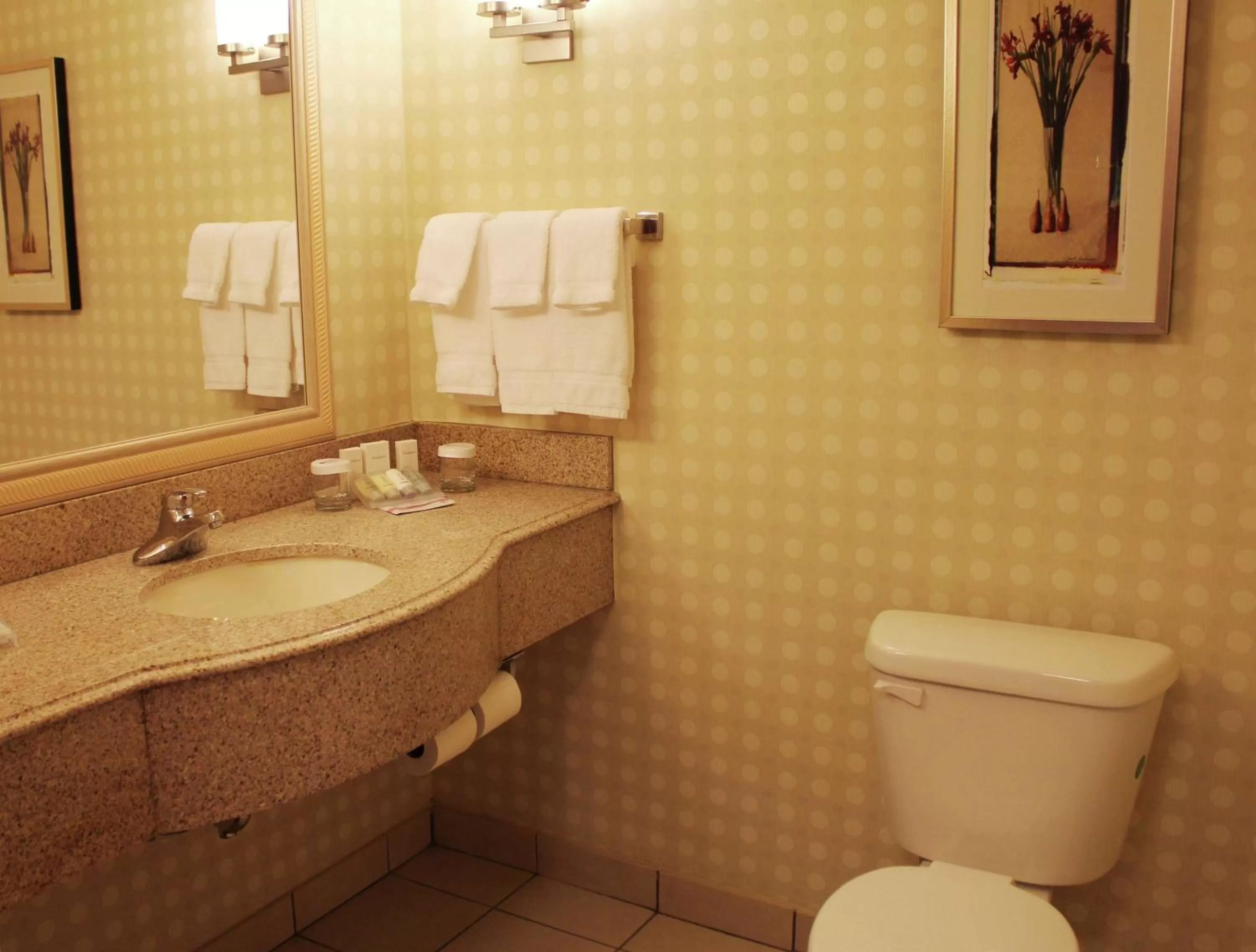 Bathroom in Hilton Garden Inn Starkville