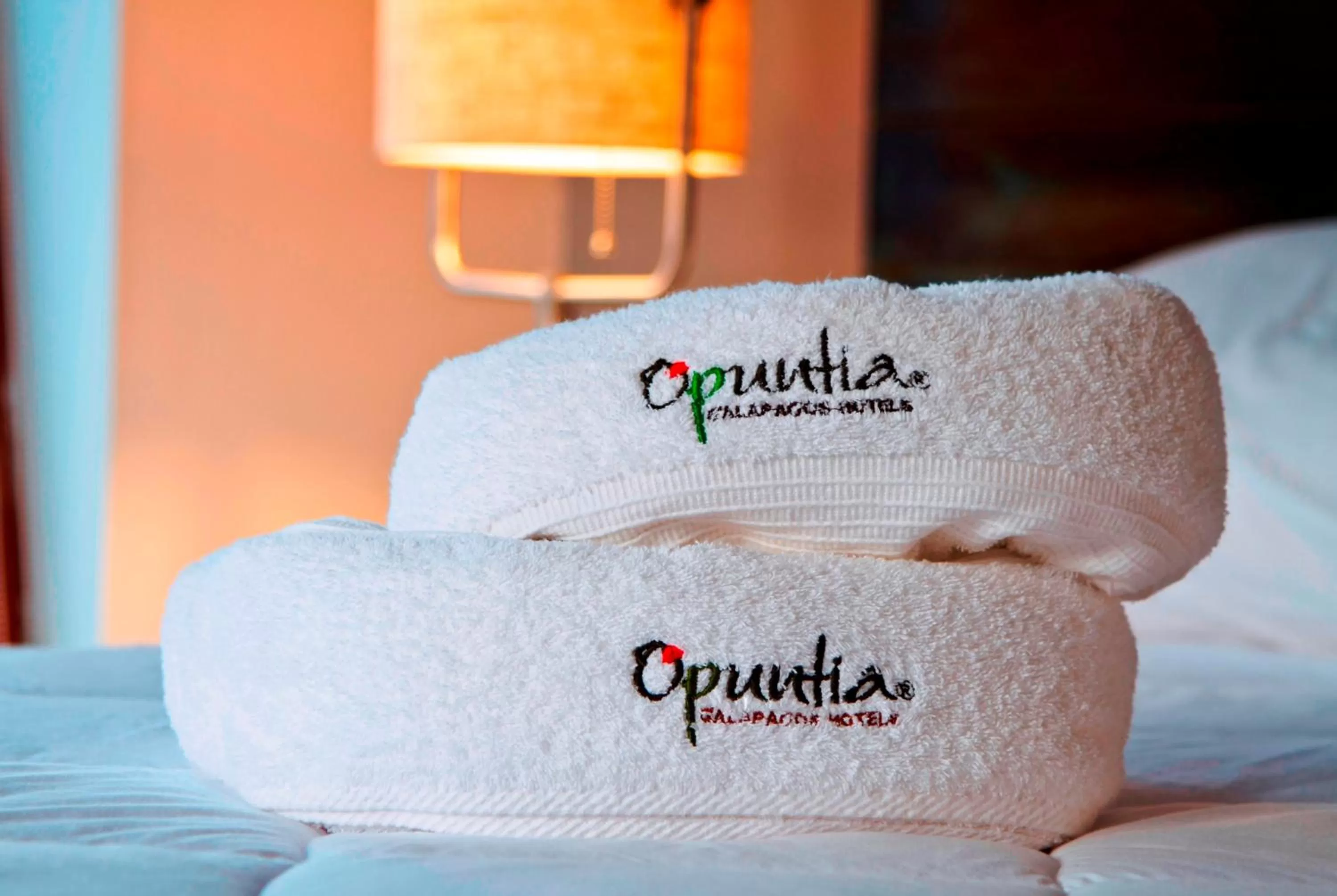 Toilet, Bed in Hotel Volcano