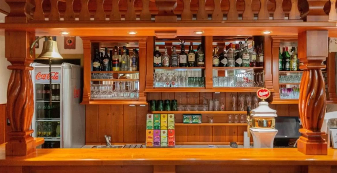 Lounge or bar in Nature Hotel Lukanc