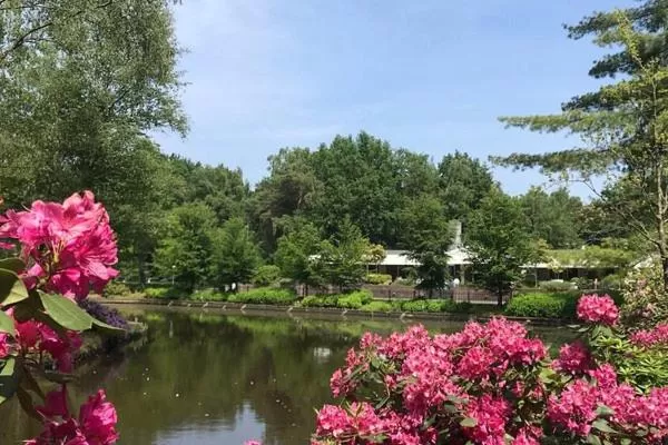 Chalet Heggemus Oisterwijk