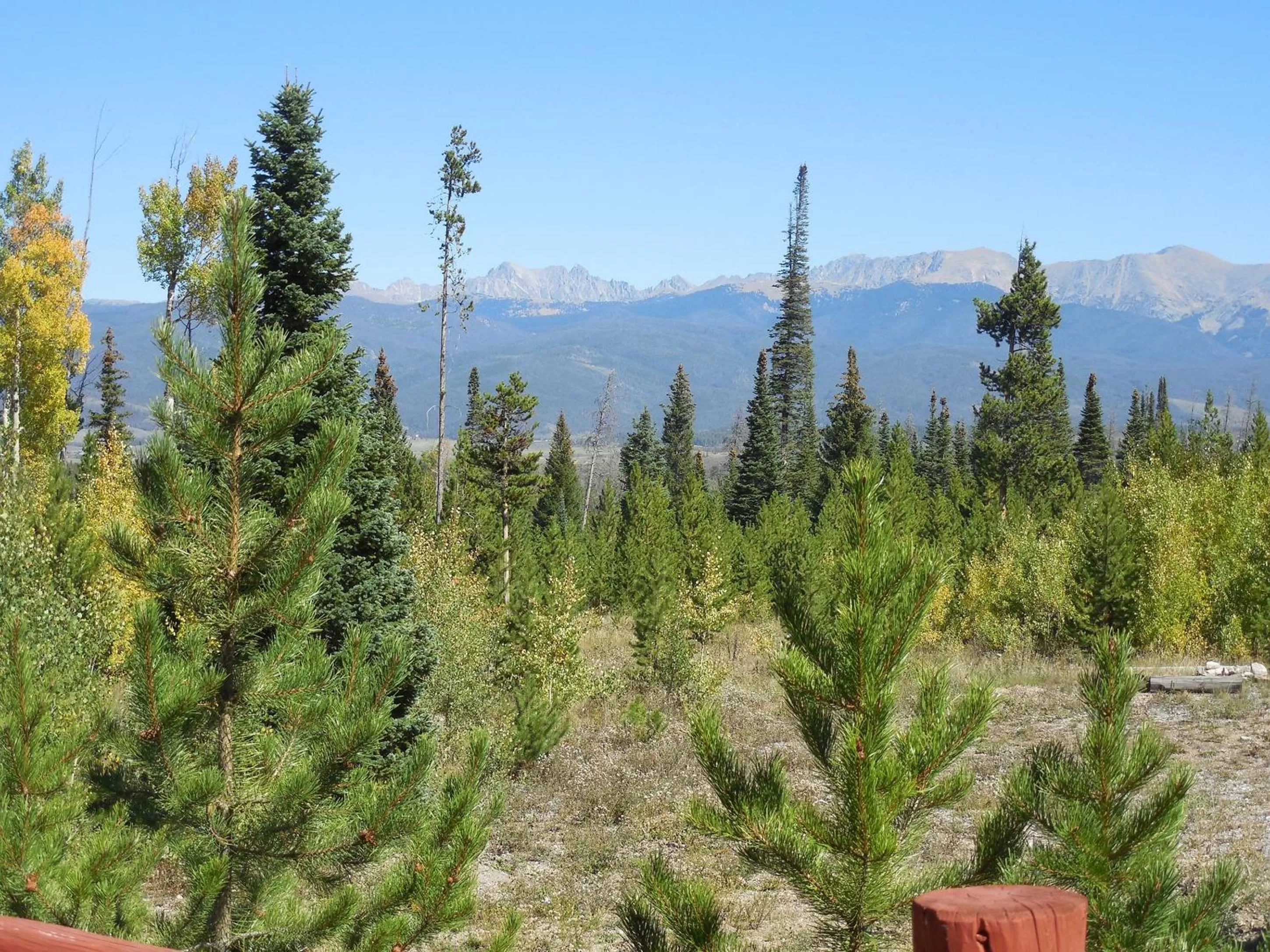 View (from property/room) in The Viking Lodge - Downtown Winter Park Colorado