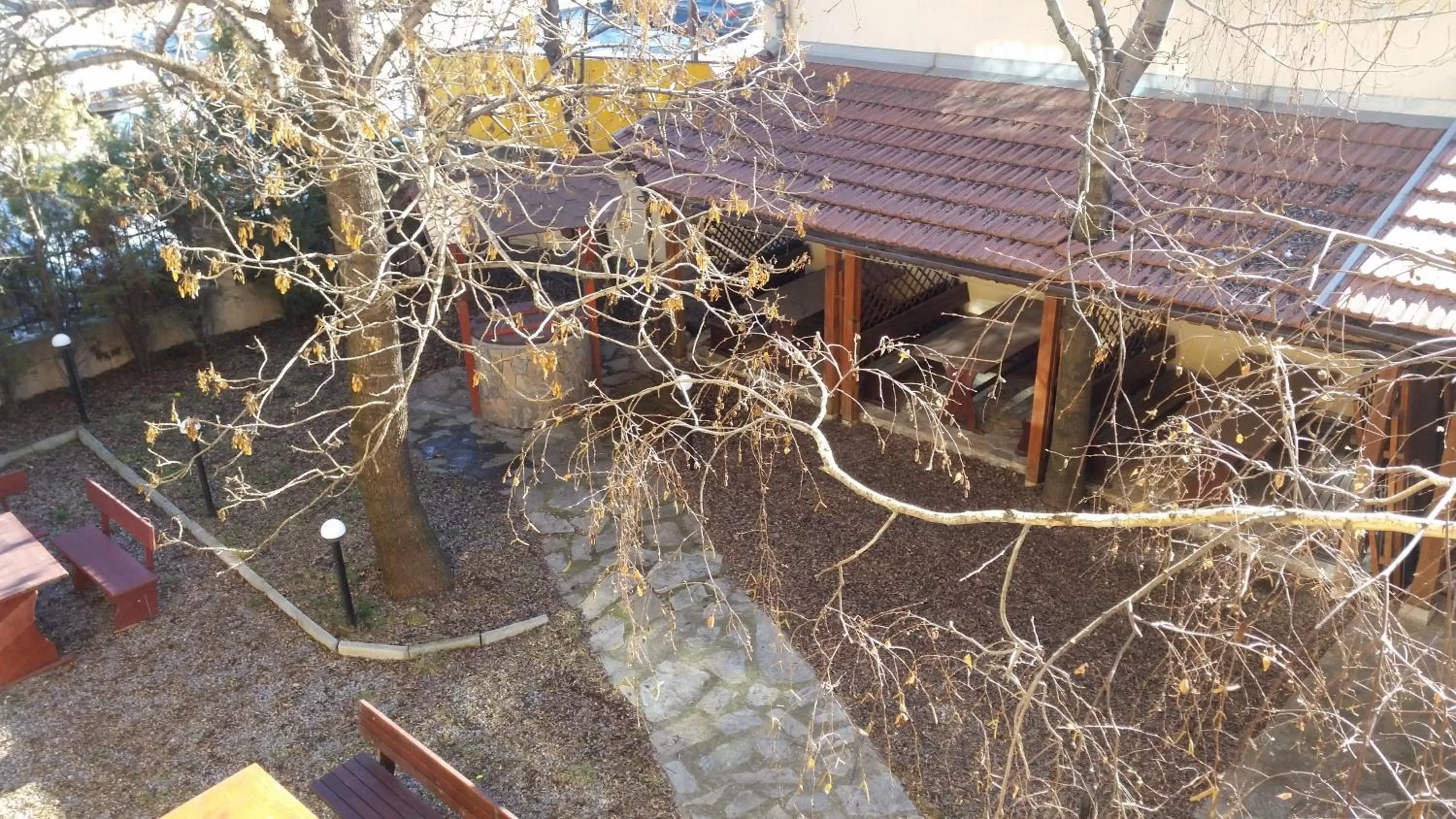 Garden in Hotel Diavolo