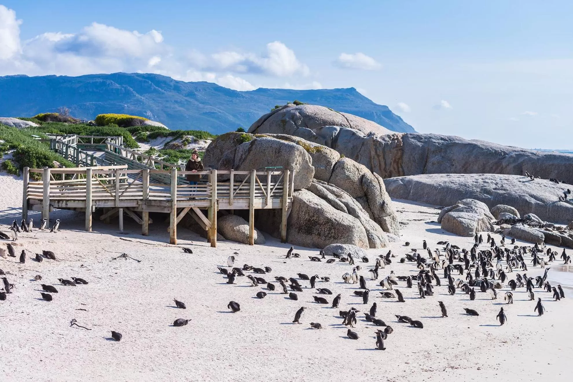 Nearby landmark in Simon's Town Quayside Hotel