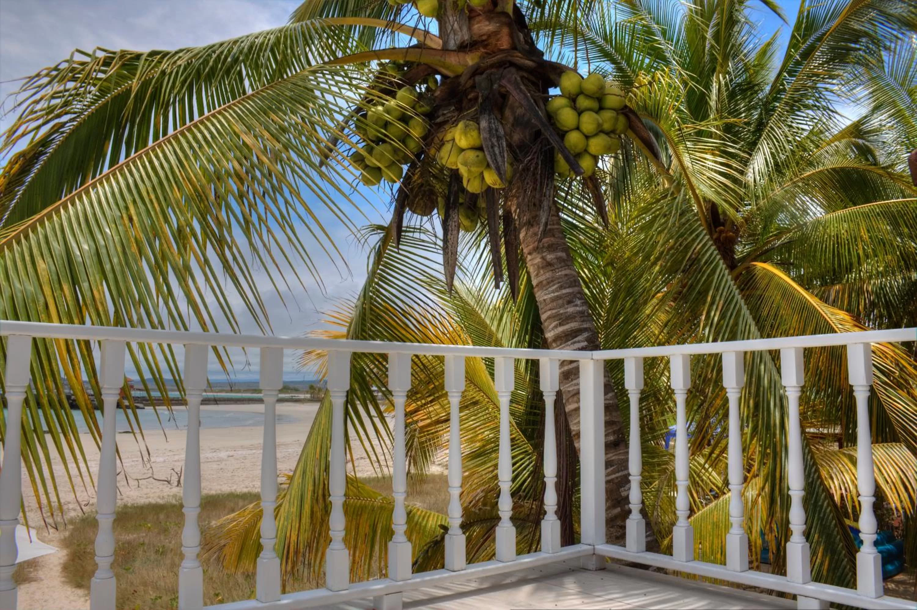 Balcony/Terrace in The Isabela Beach House