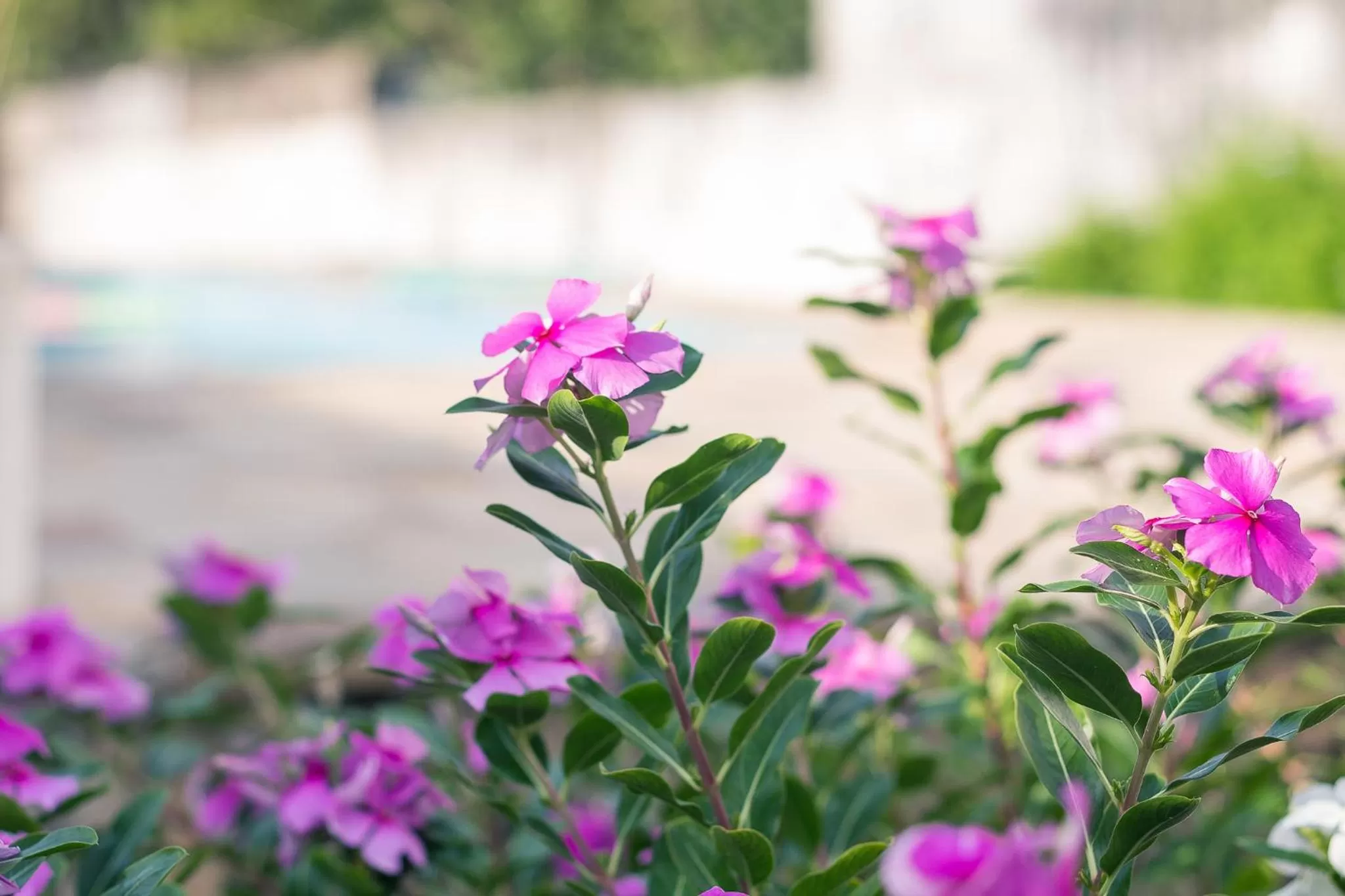 Property building in Pousada Solar Tropical