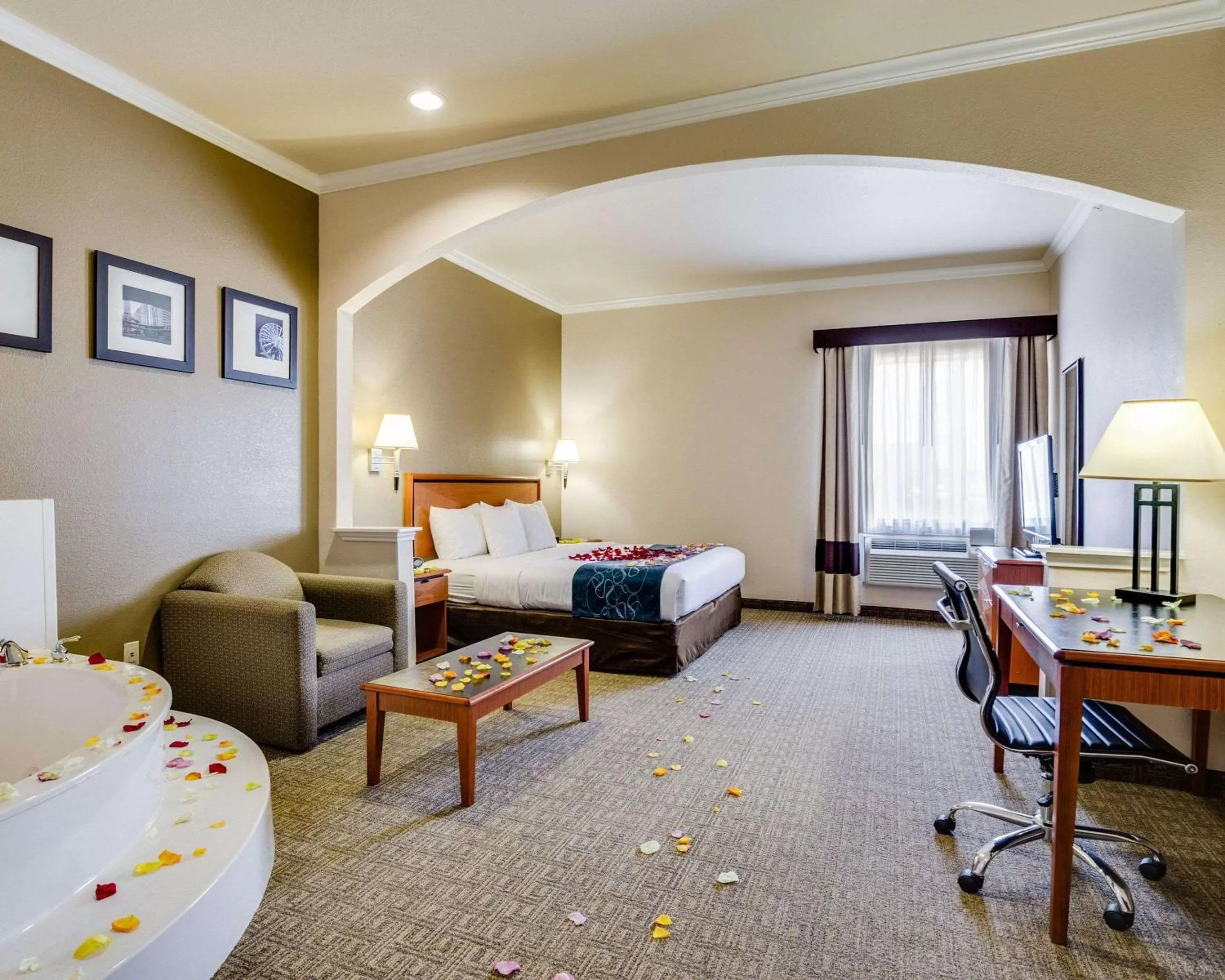 Other in Comfort Suites Deer Park Pasadena