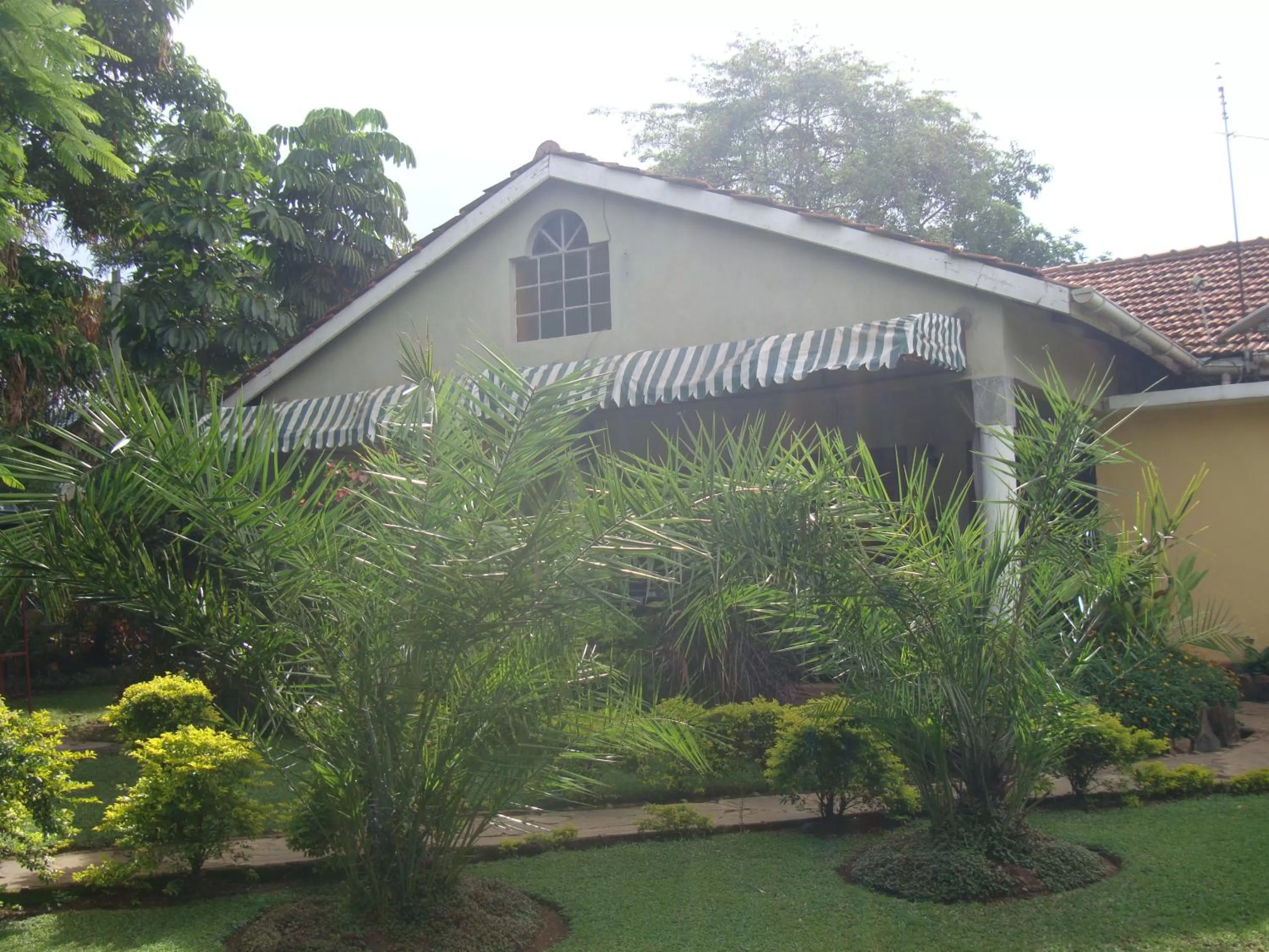 Garden in The Clarice House