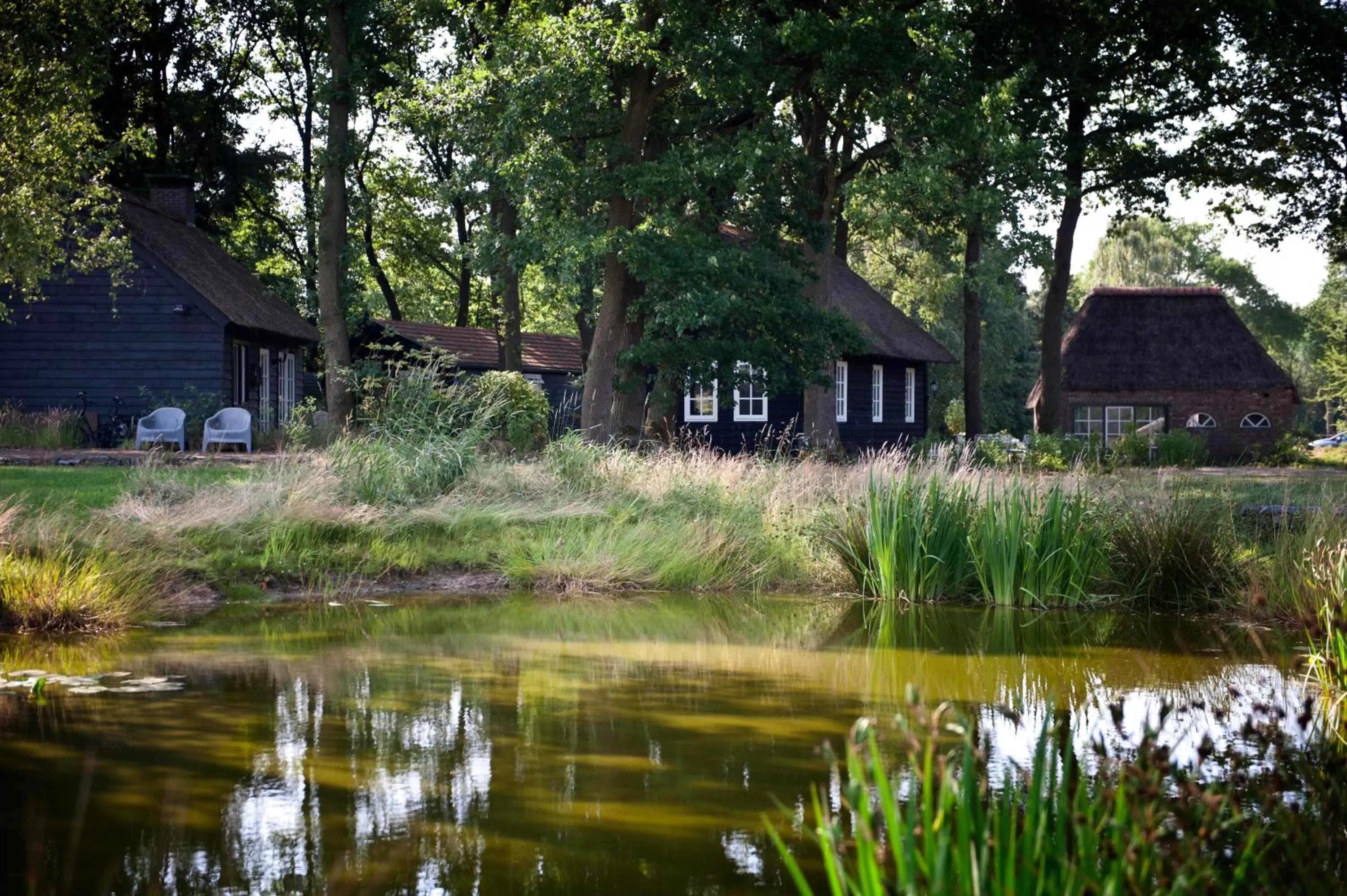 Garden in Hof van Eersel