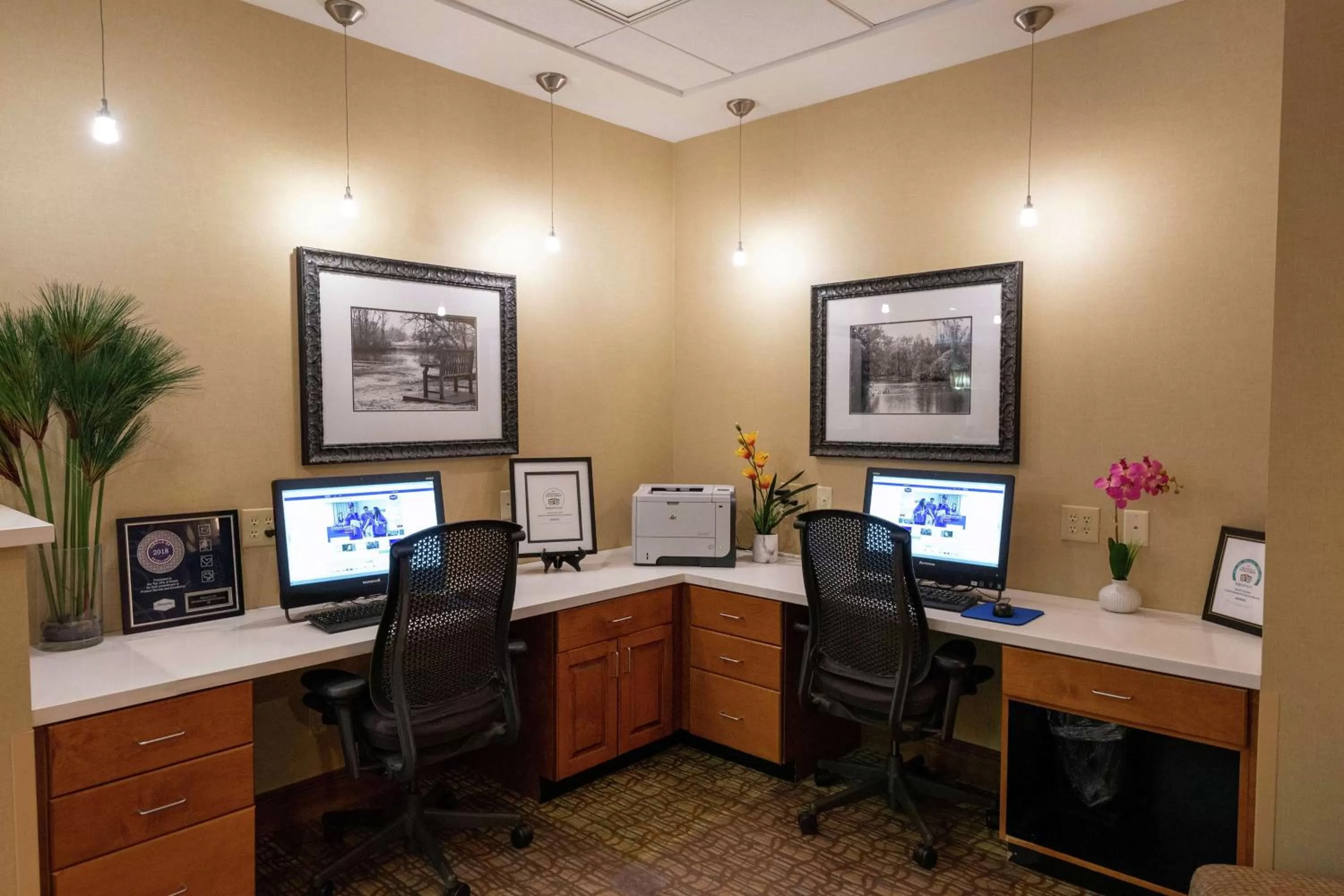 Business facilities in Hampton Inn Christiansburg/Blacksburg