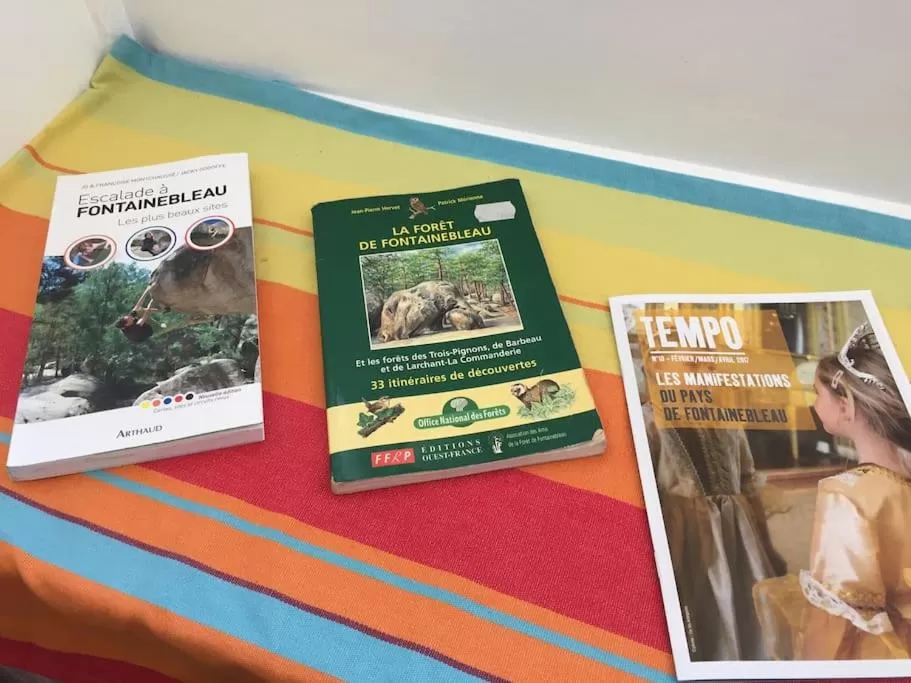 Nearby landmark in Villa Eugénie Melun